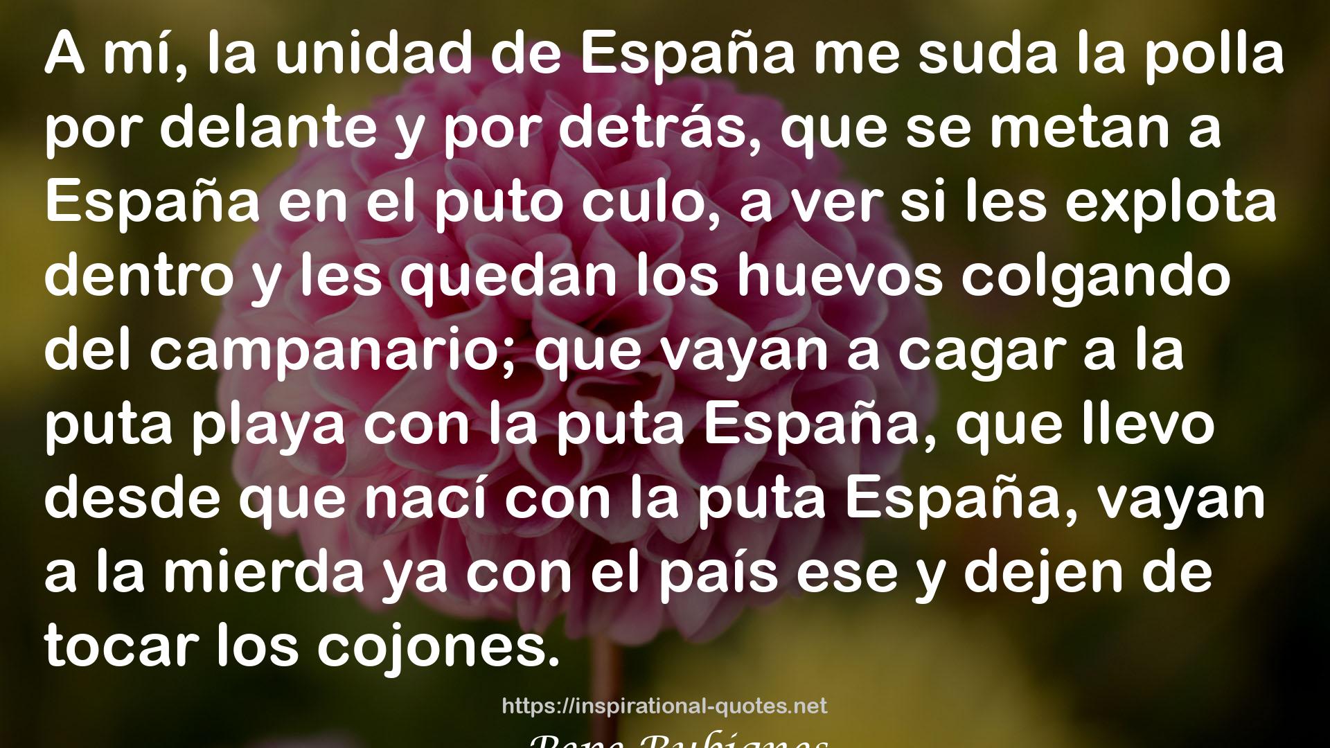 Pepe Rubianes QUOTES