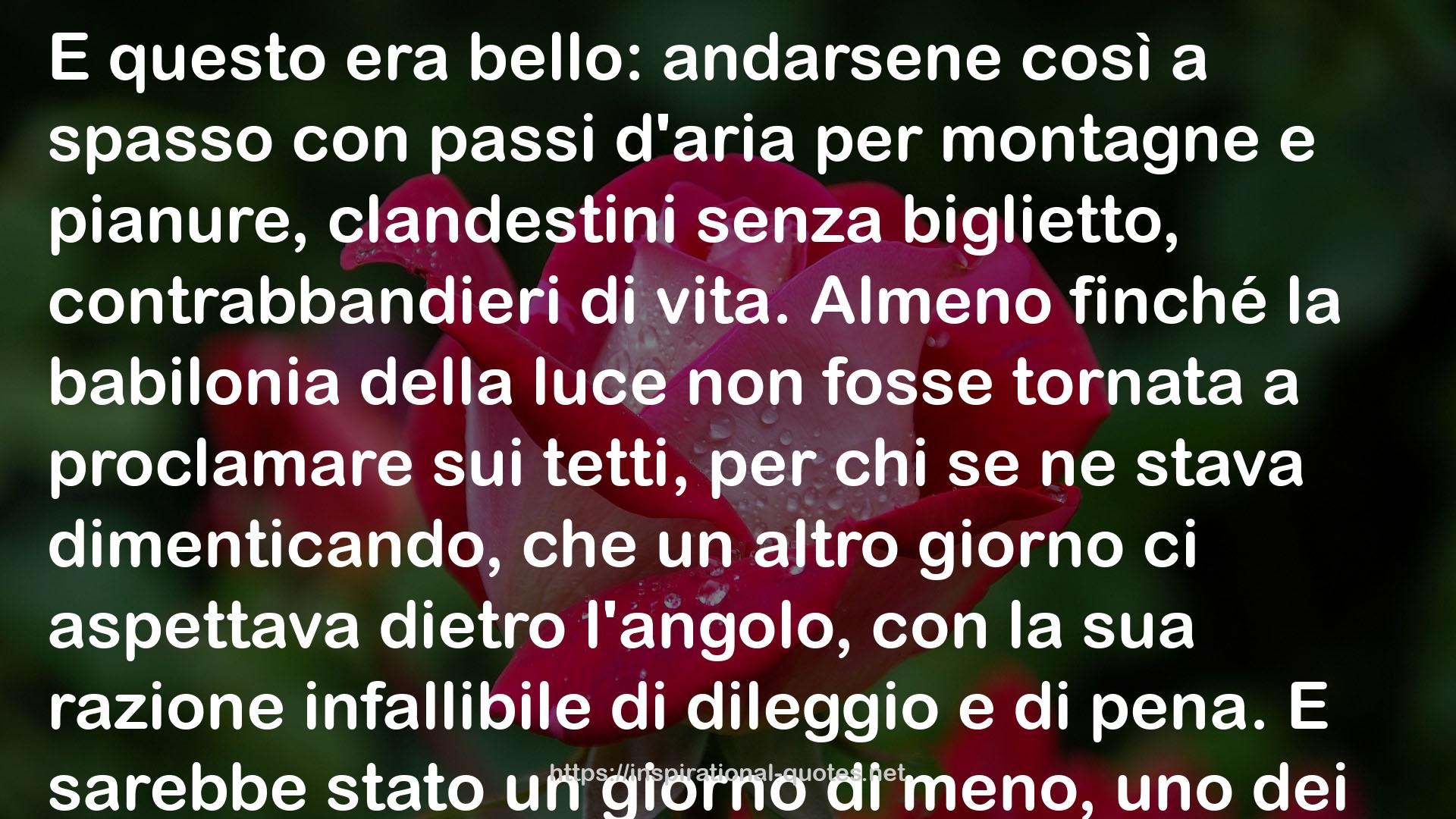 Bufalino QUOTES