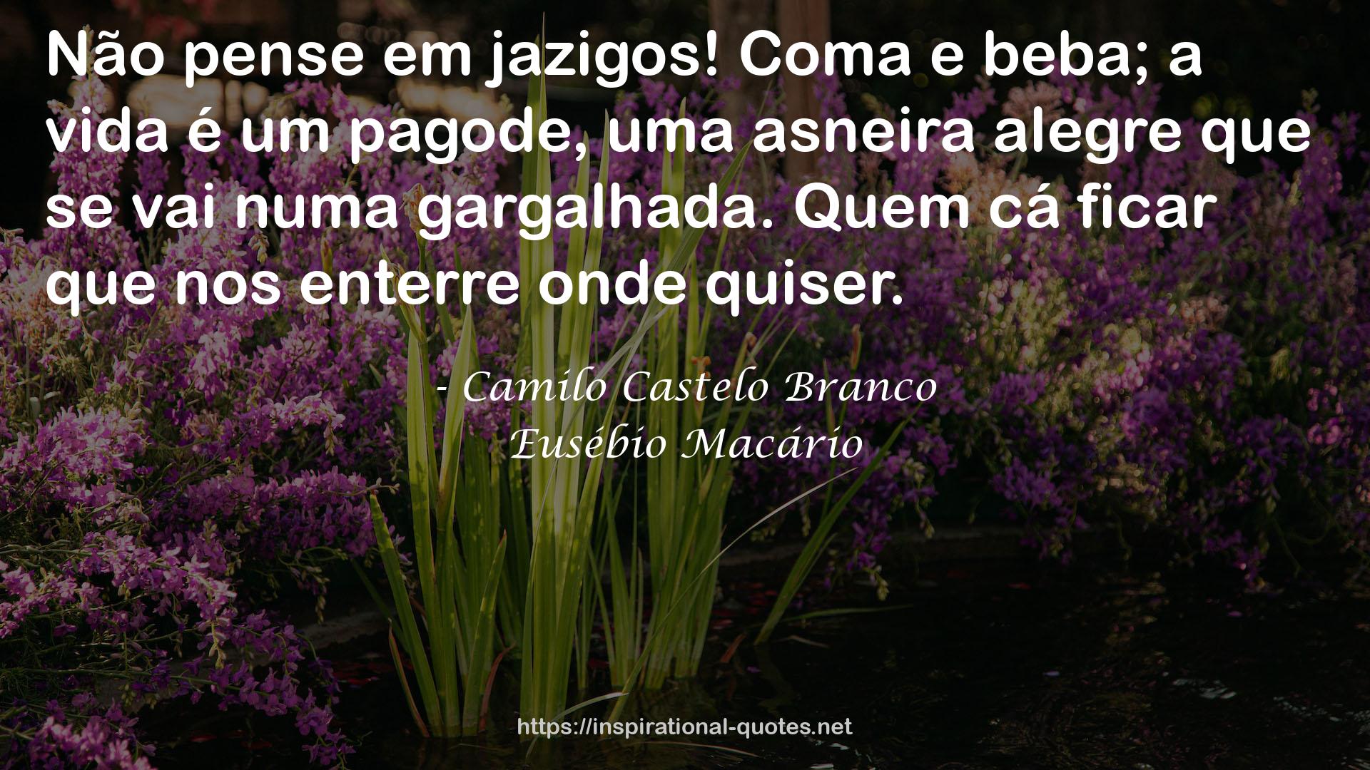 Eusébio Macário QUOTES