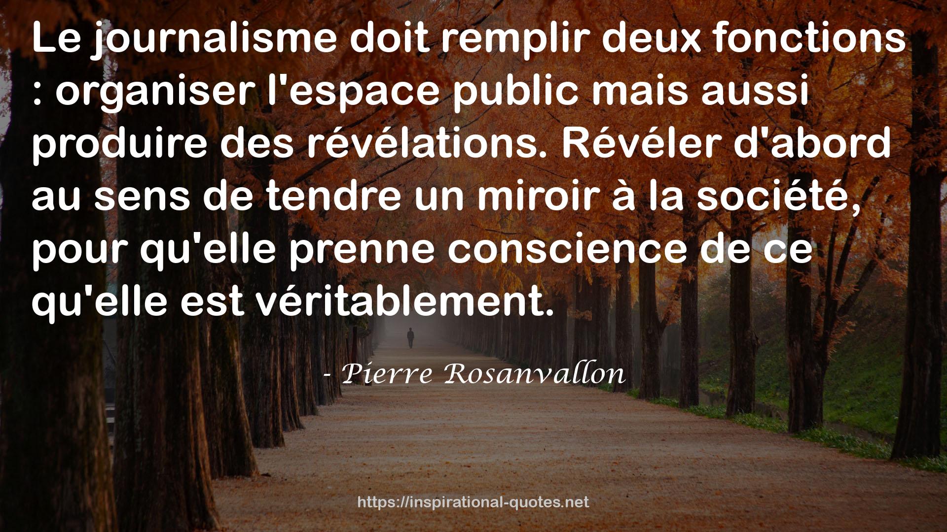 Pierre Rosanvallon QUOTES