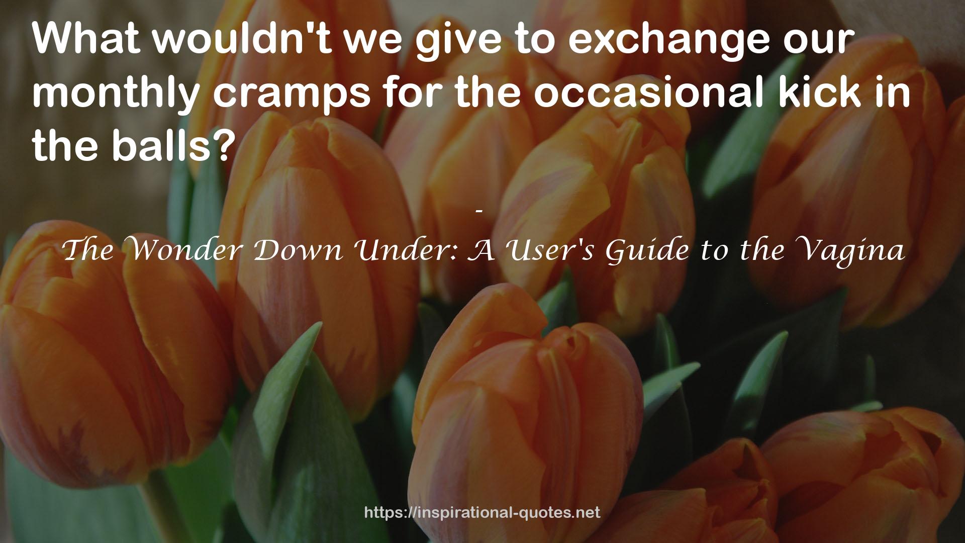 The Wonder Down Under: A User's Guide to the Vagina QUOTES