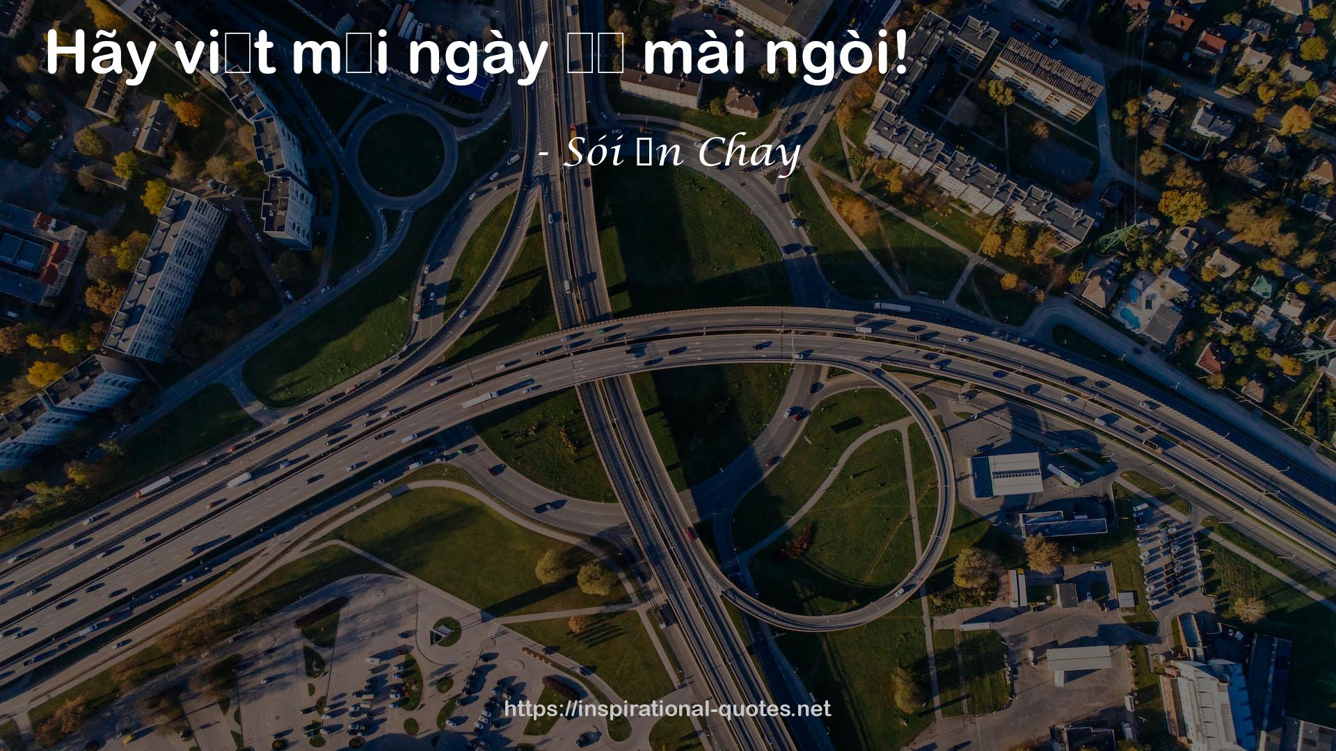 Sói Ăn Chay QUOTES