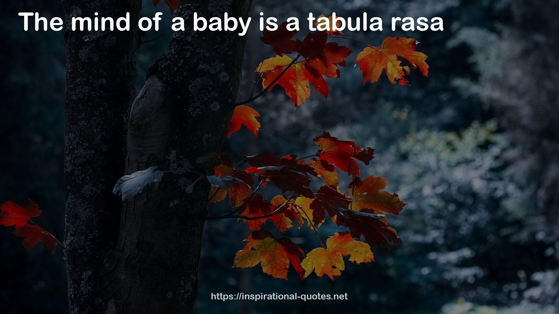 tabula  QUOTES