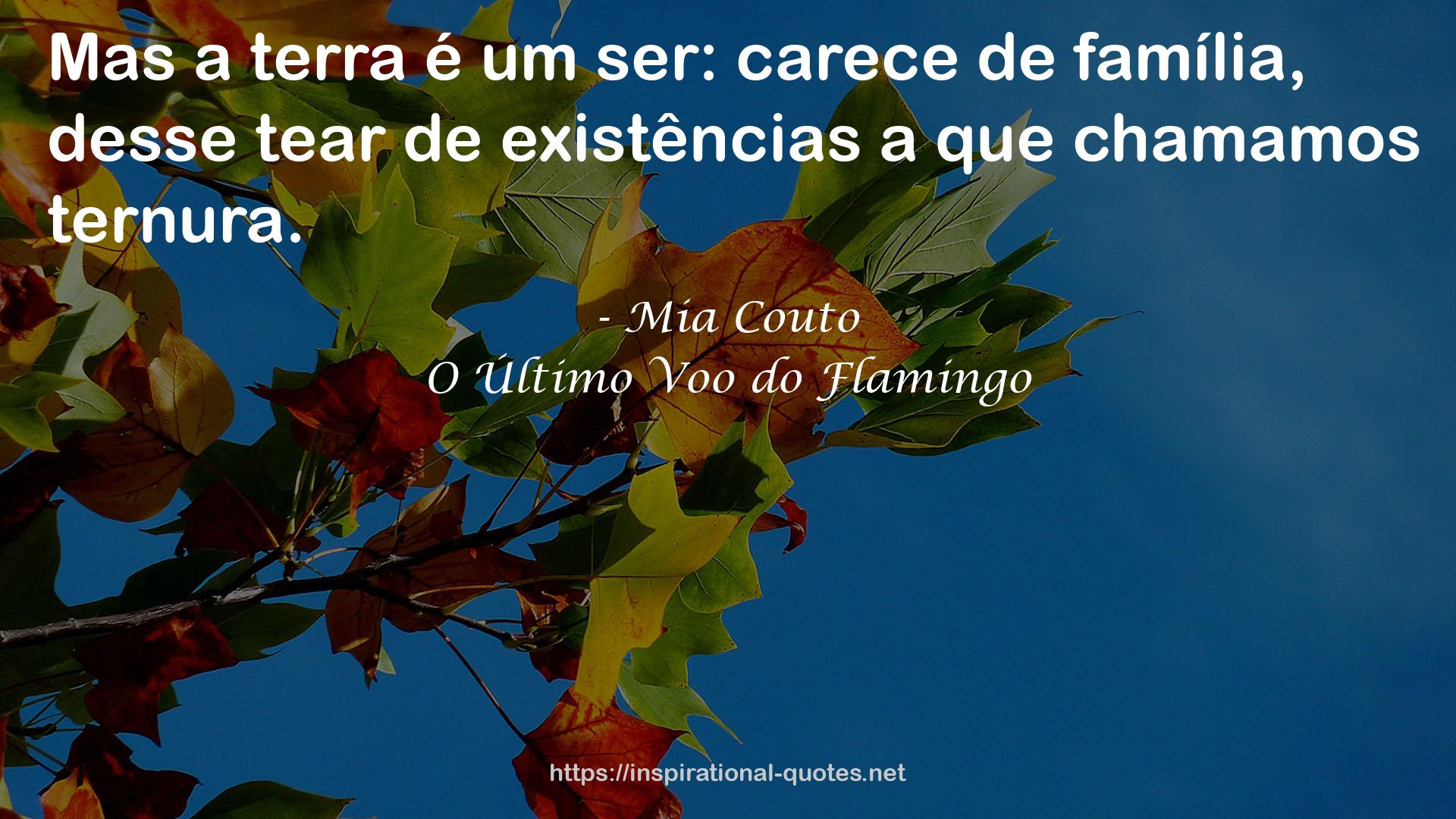 O Último Voo do Flamingo QUOTES