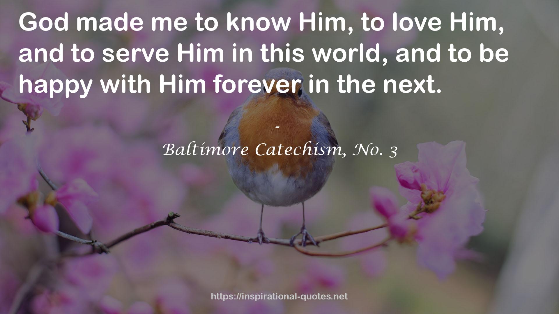 Baltimore Catechism, No. 3 QUOTES