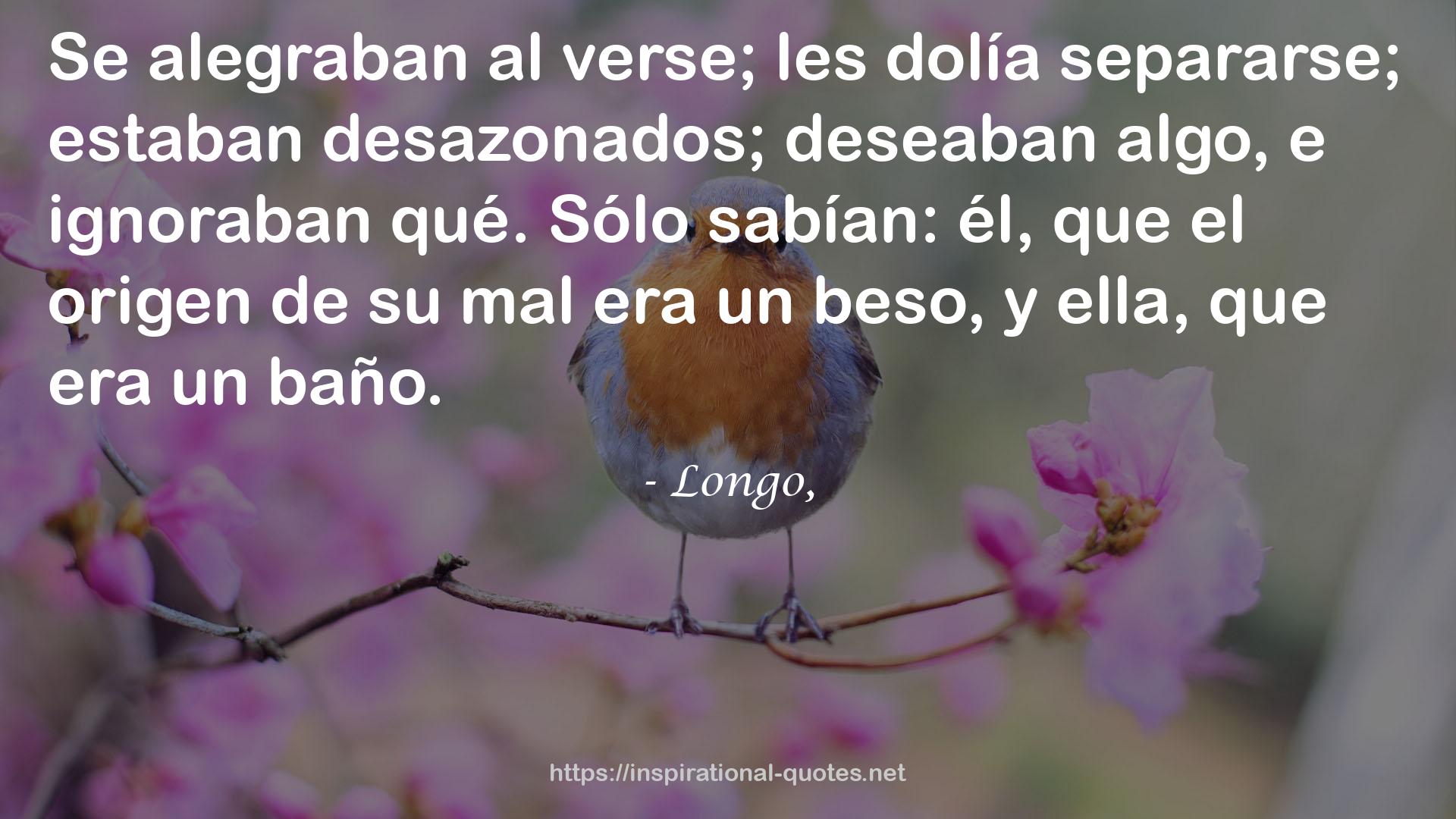 Longo, QUOTES