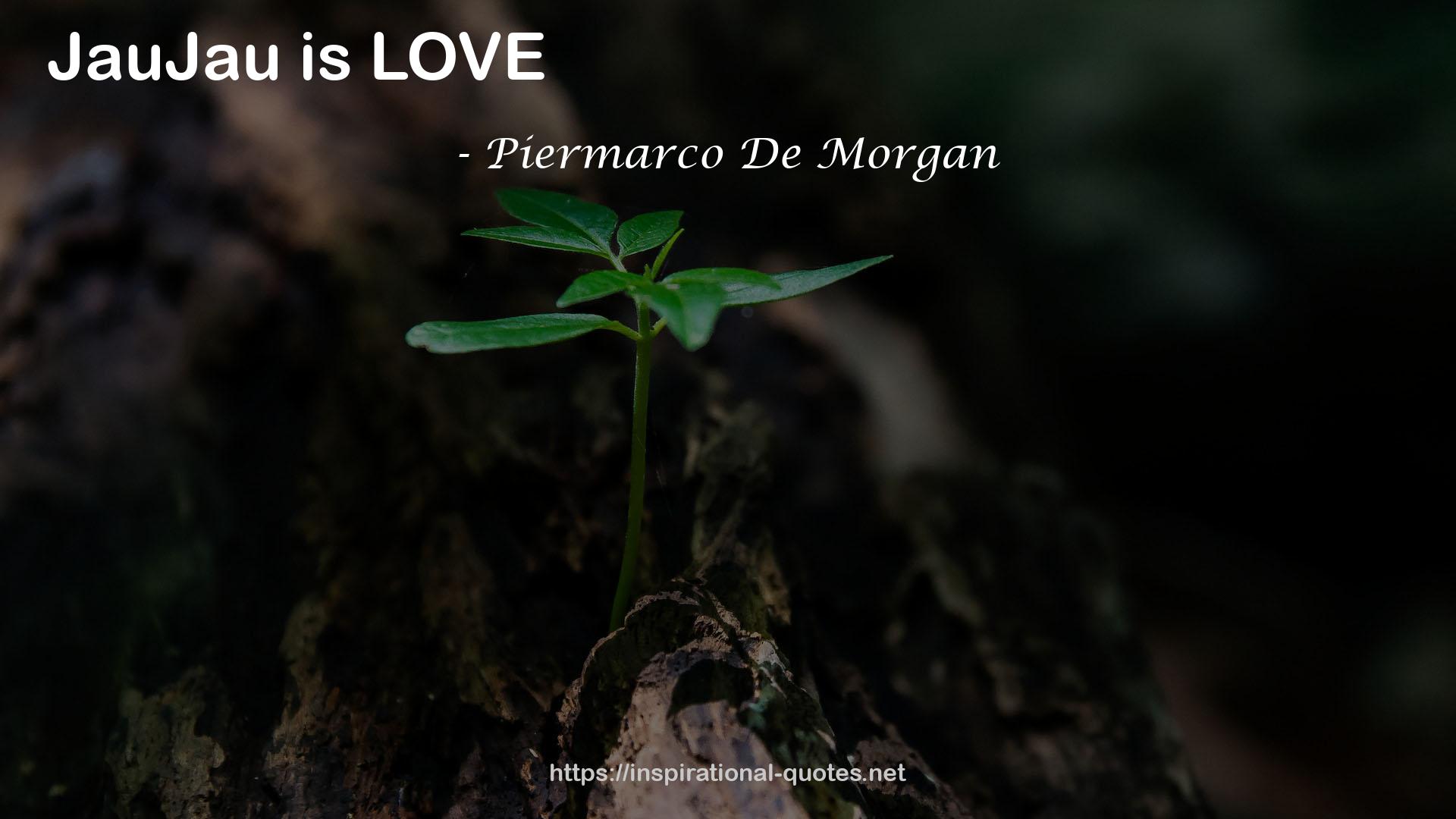 Piermarco De Morgan QUOTES