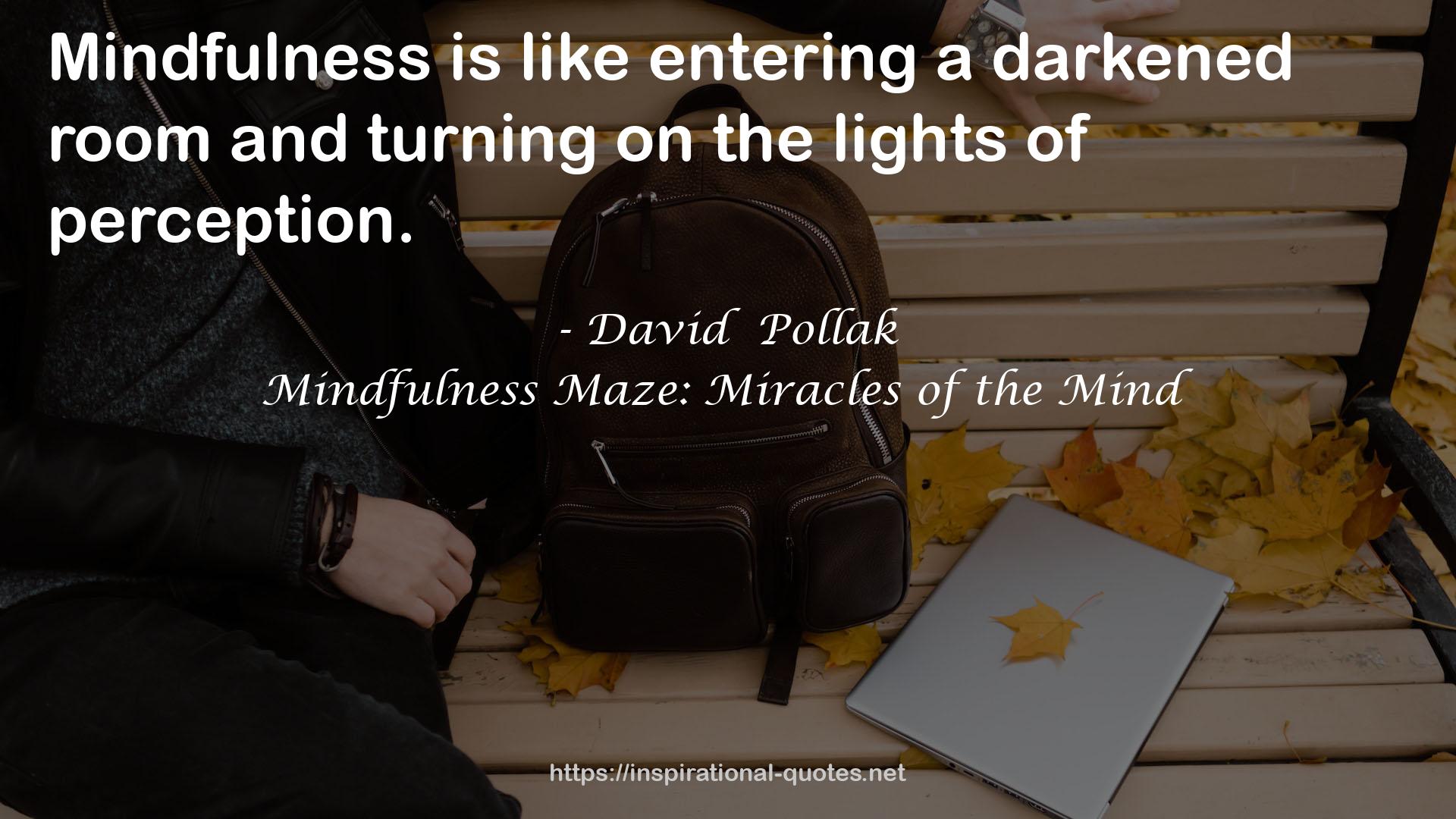 Mindfulness Maze: Miracles of the Mind QUOTES