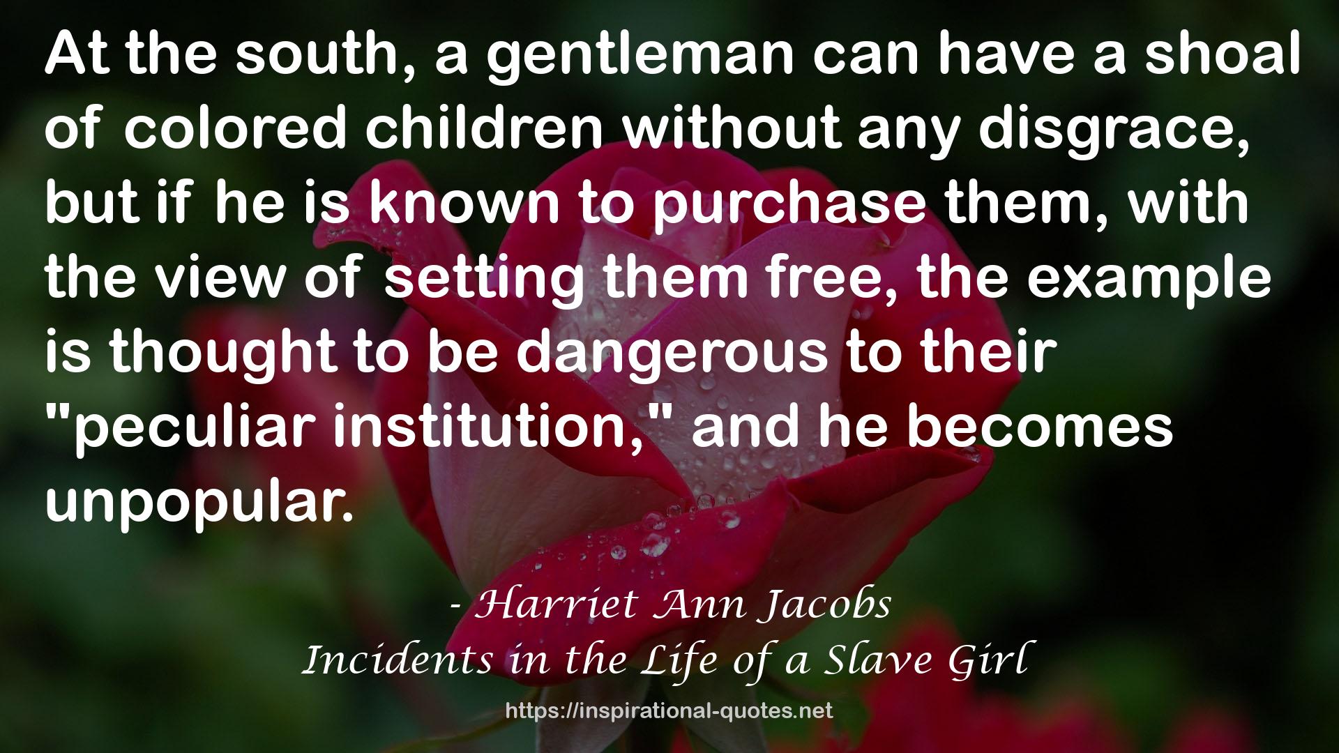 Incidents in the Life of a Slave Girl QUOTES