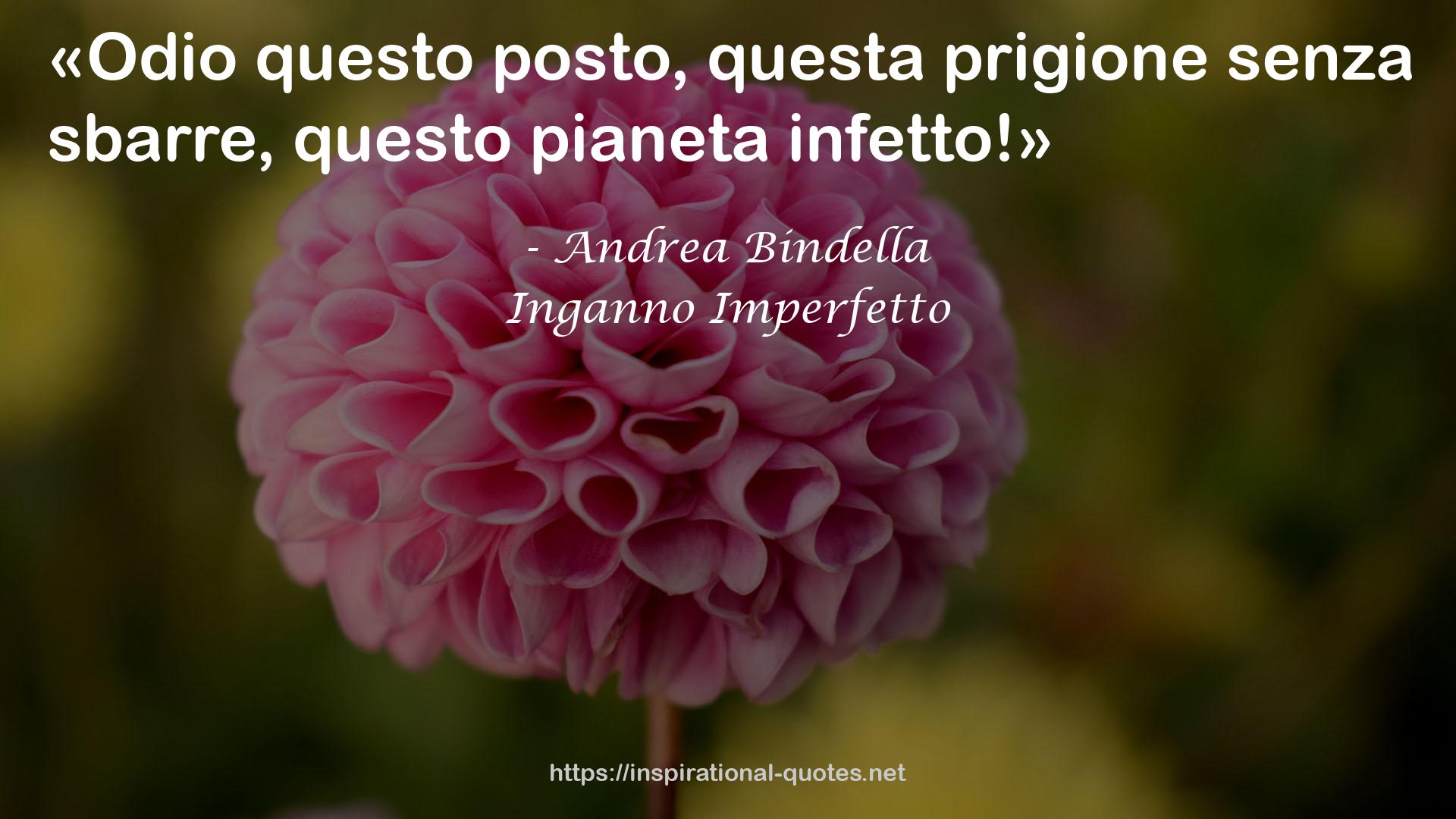 Inganno Imperfetto QUOTES