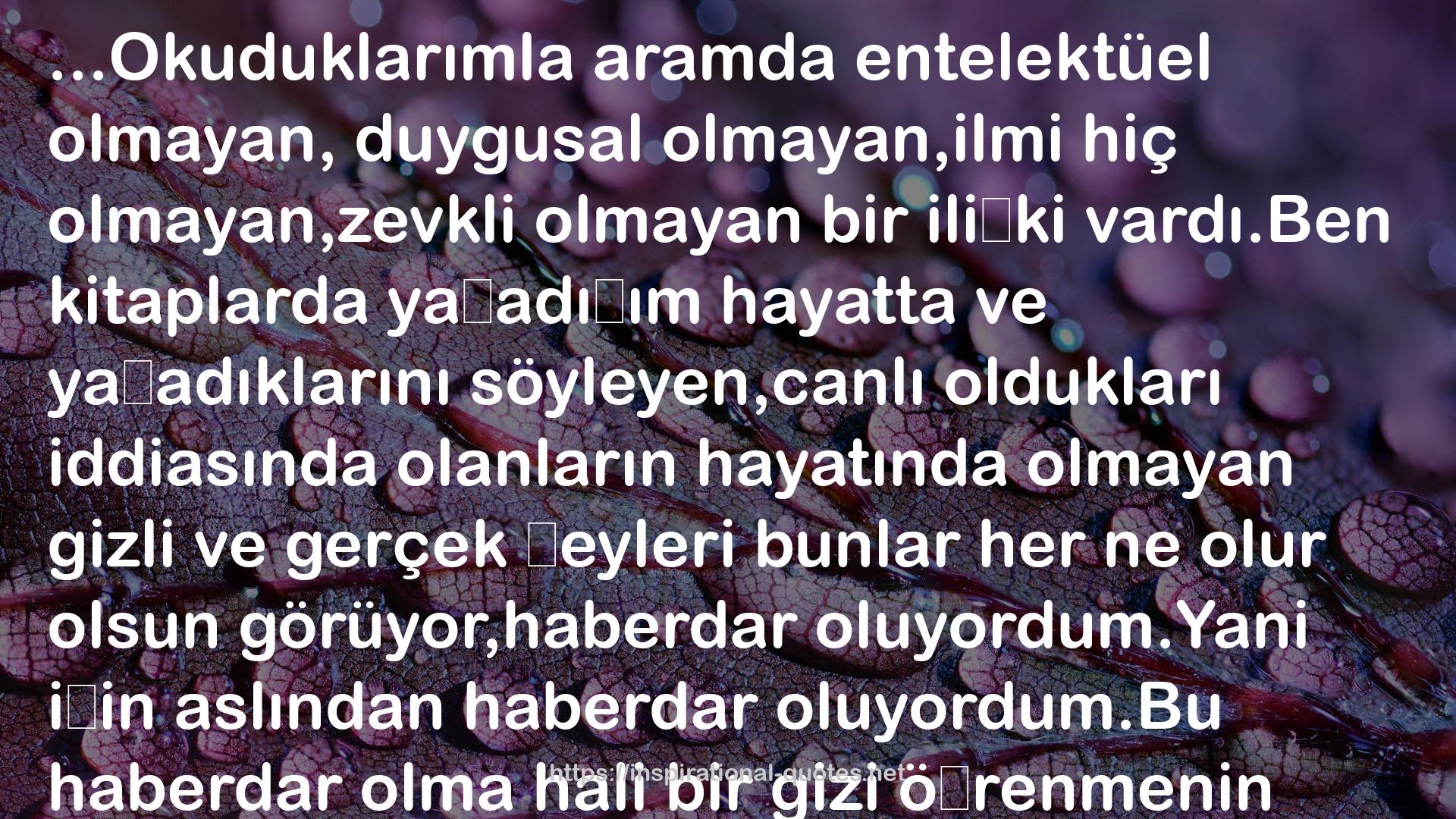 Şule Gürbüz QUOTES