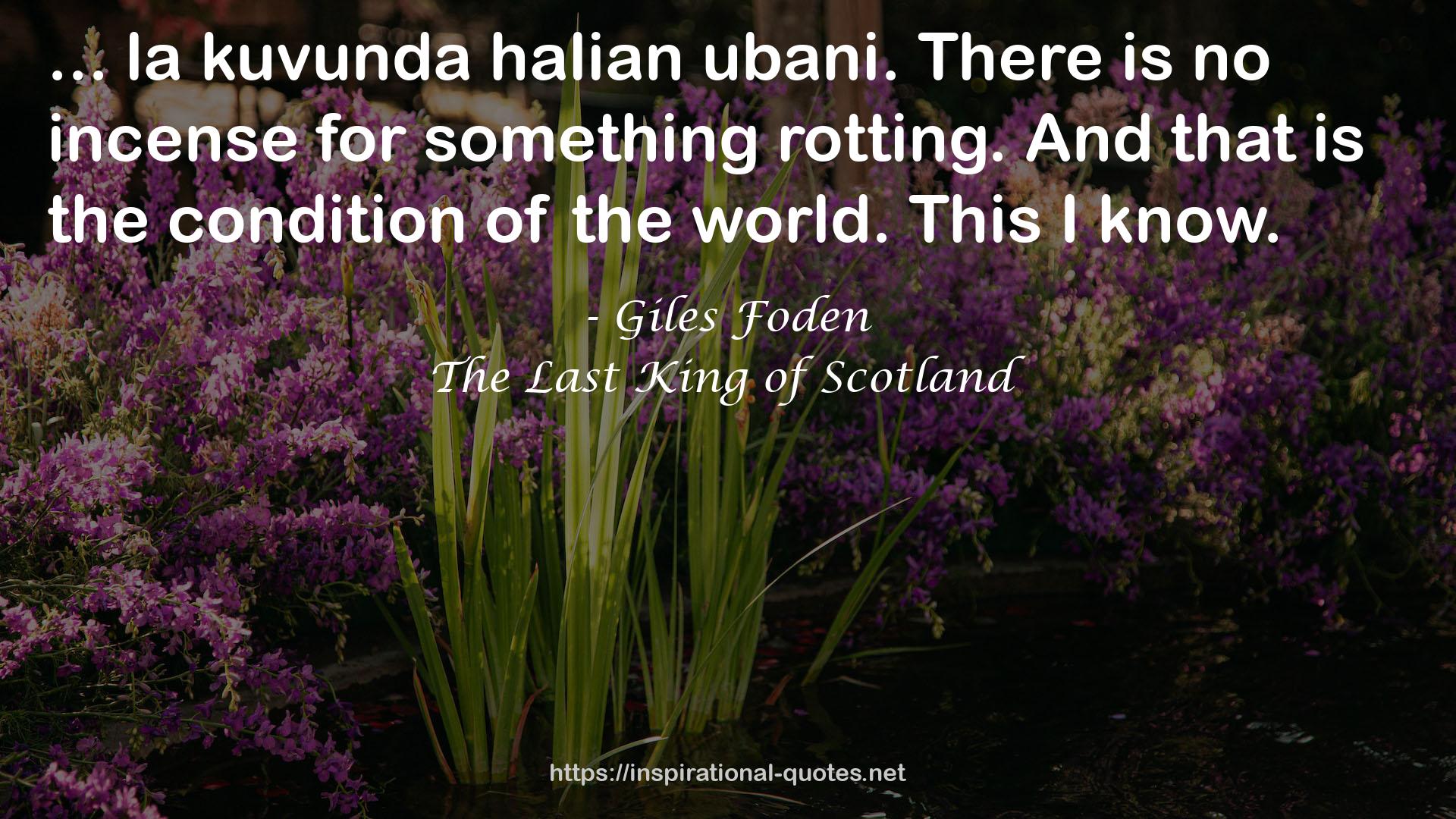 Giles Foden QUOTES