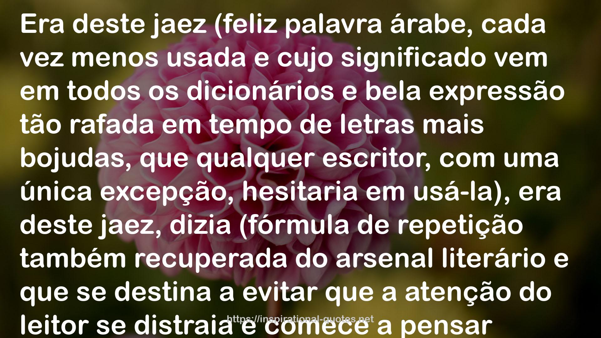 Mário de Carvalho QUOTES