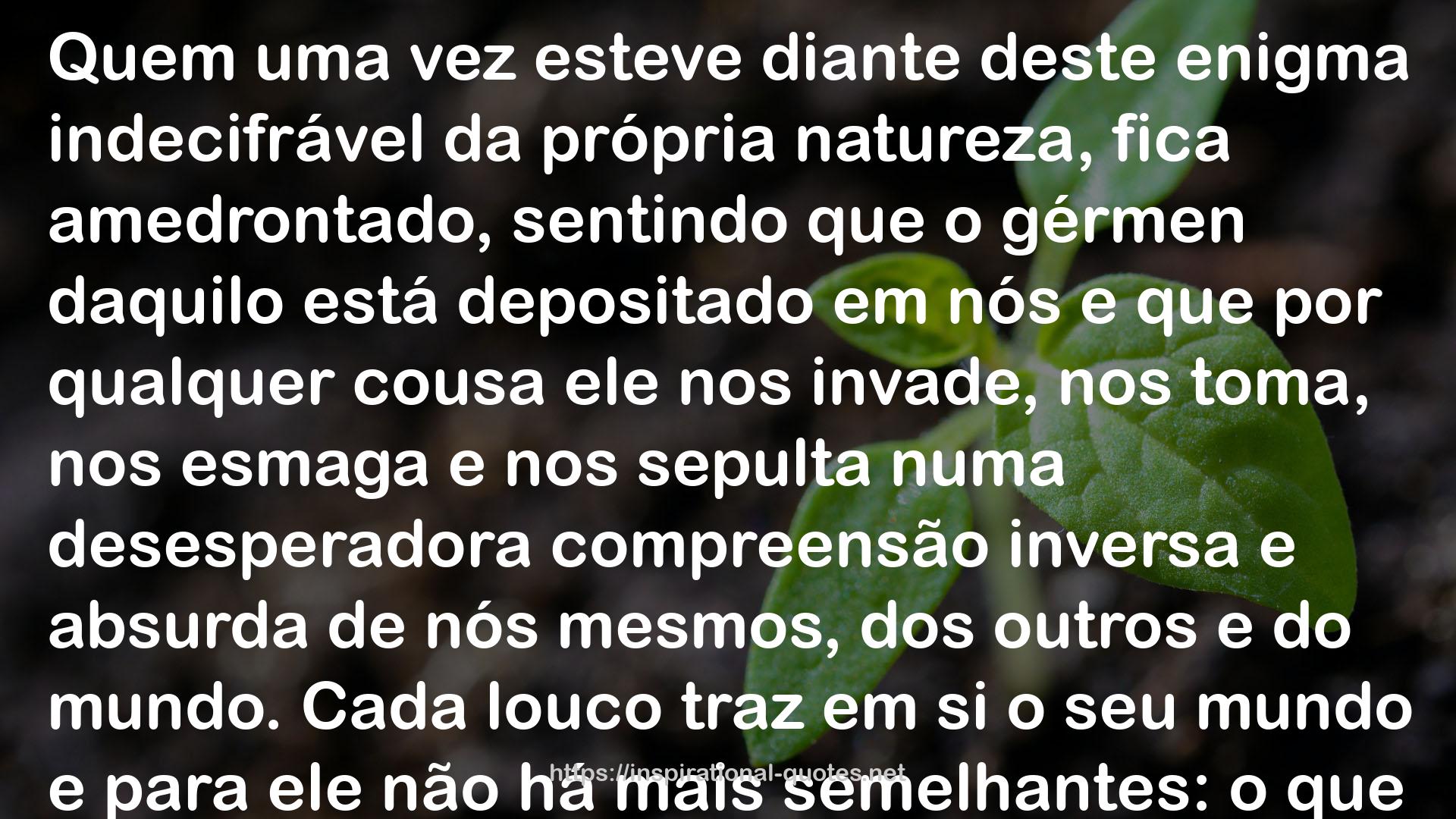 O Triste Fim de Policarpo Quaresma QUOTES