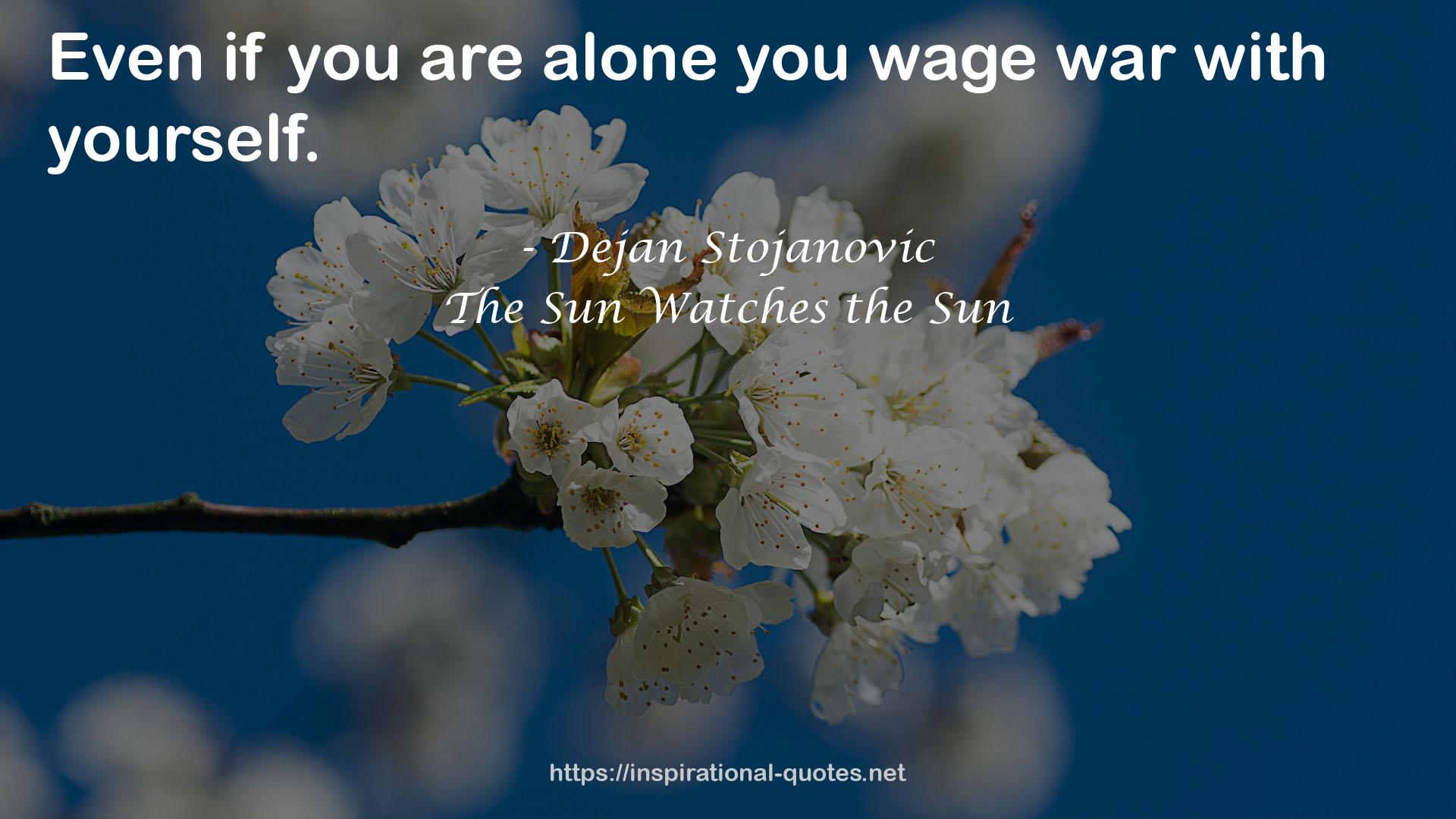 The Sun Watches the Sun QUOTES