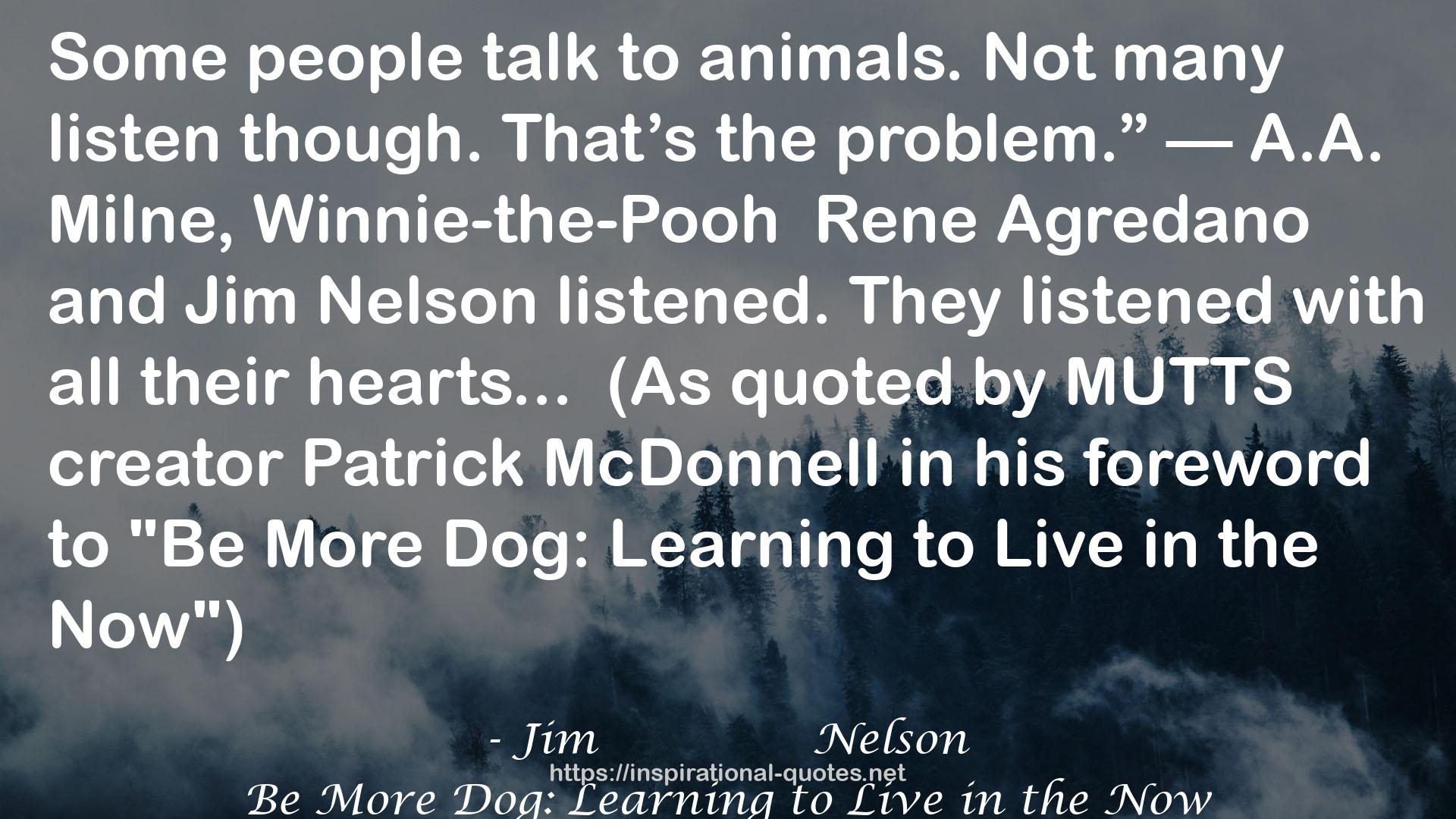 Be More Dog: Learning to Live in the Now QUOTES