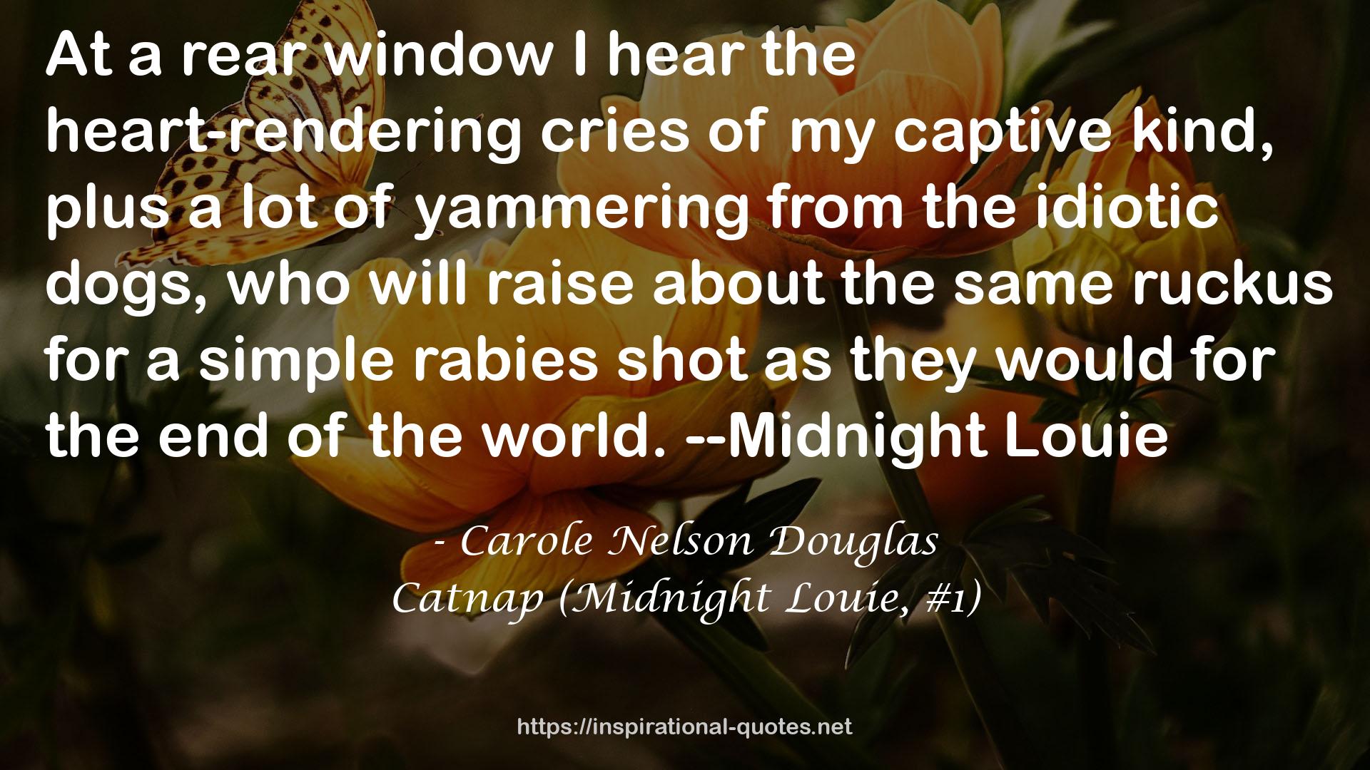 Catnap (Midnight Louie, #1) QUOTES