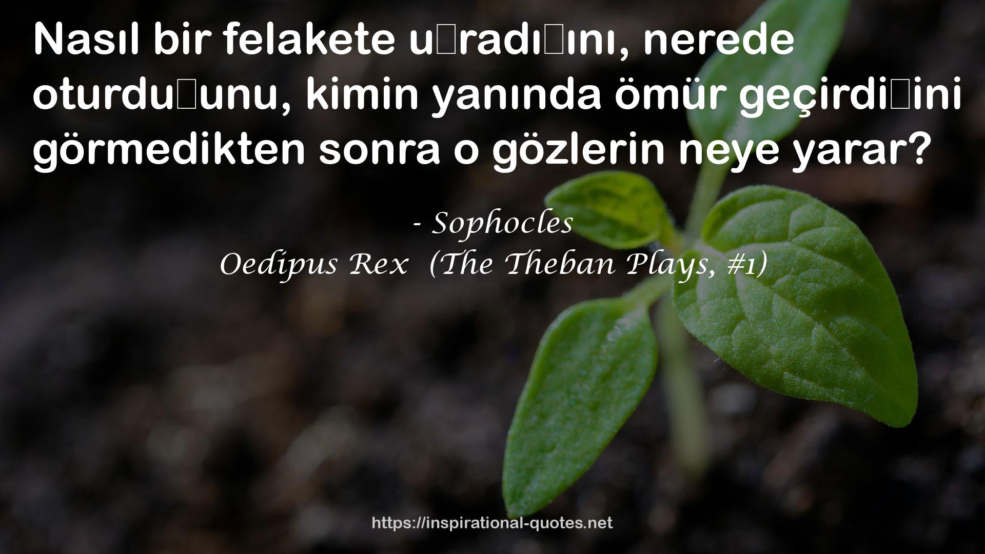 Sophocles QUOTES