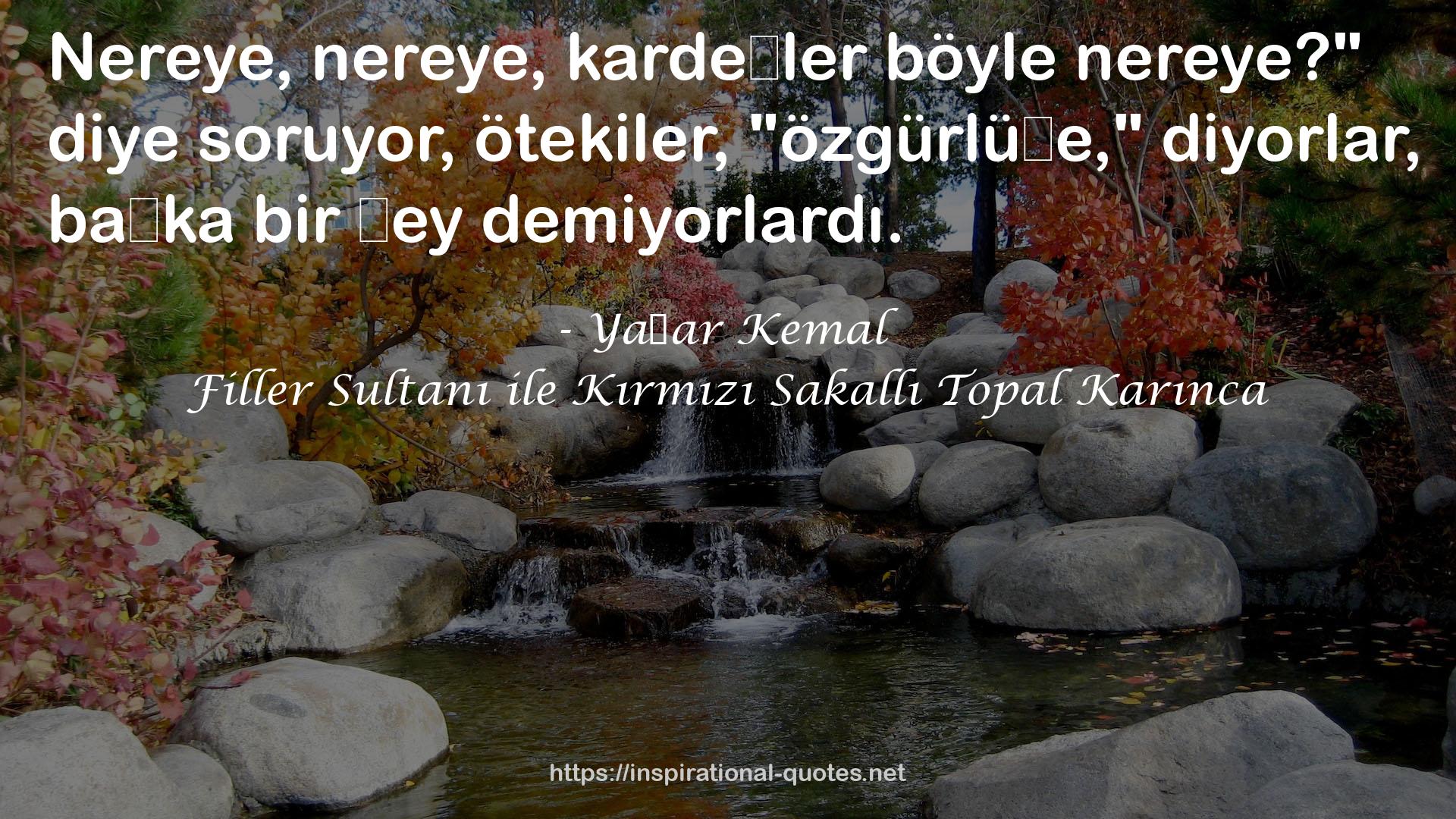 Filler Sultanı ile Kırmızı Sakallı Topal Karınca QUOTES