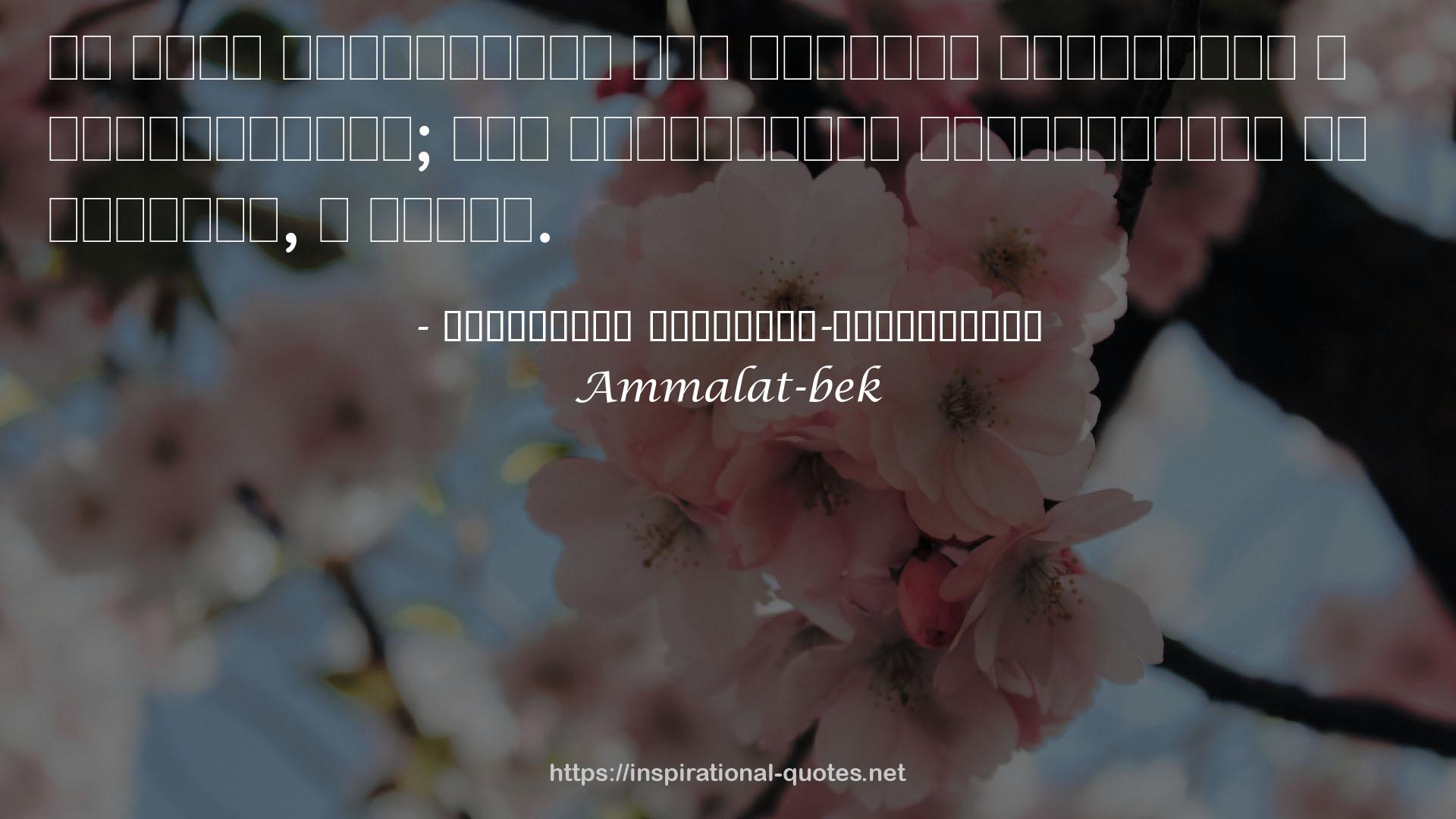 Ammalat-bek QUOTES