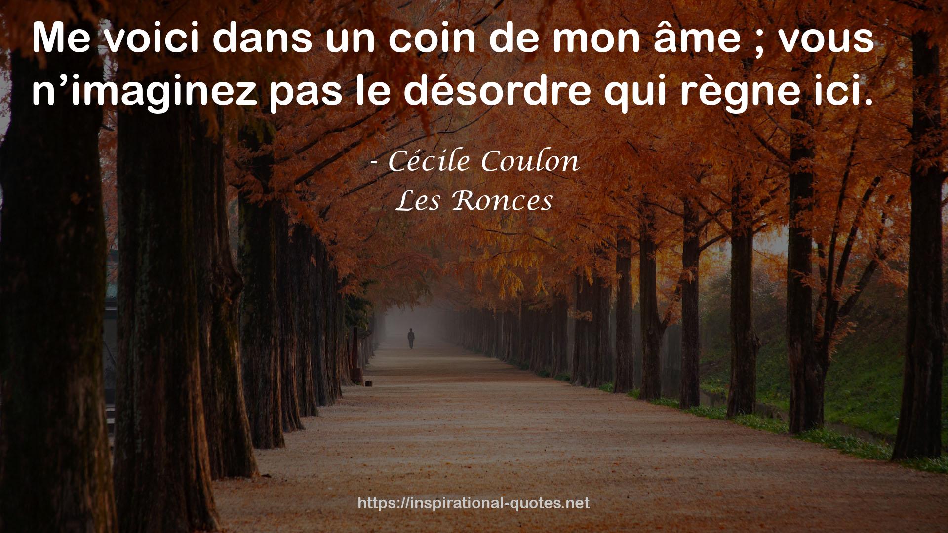 Cécile Coulon QUOTES