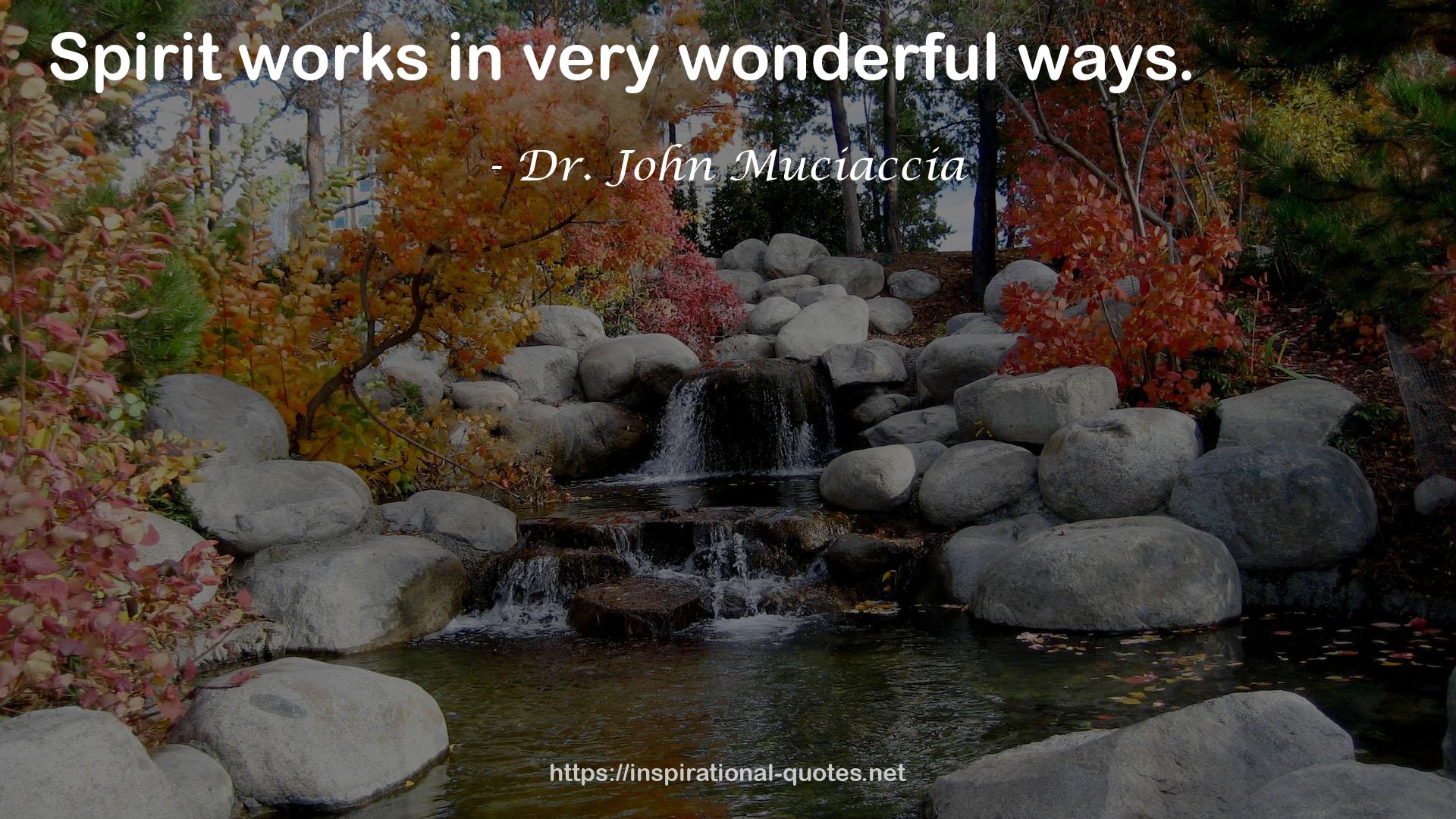 Dr. John Muciaccia QUOTES