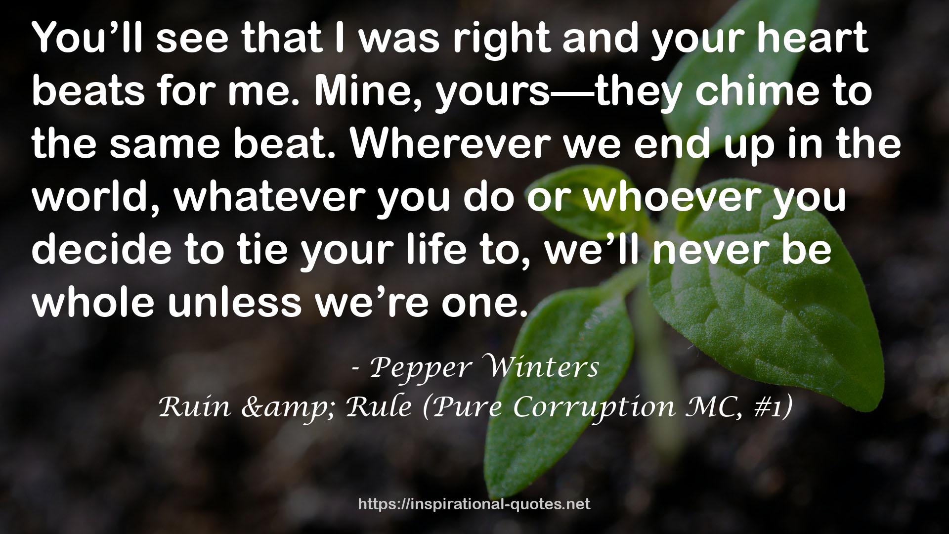 Ruin & Rule (Pure Corruption MC, #1) QUOTES