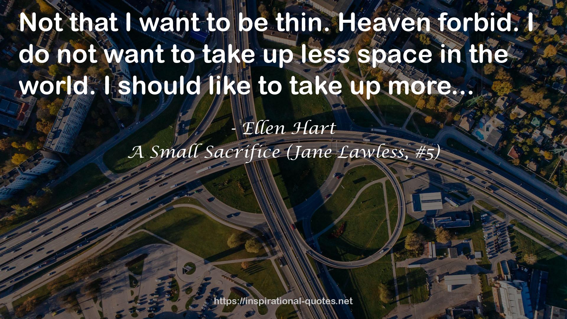 A Small Sacrifice (Jane Lawless, #5) QUOTES