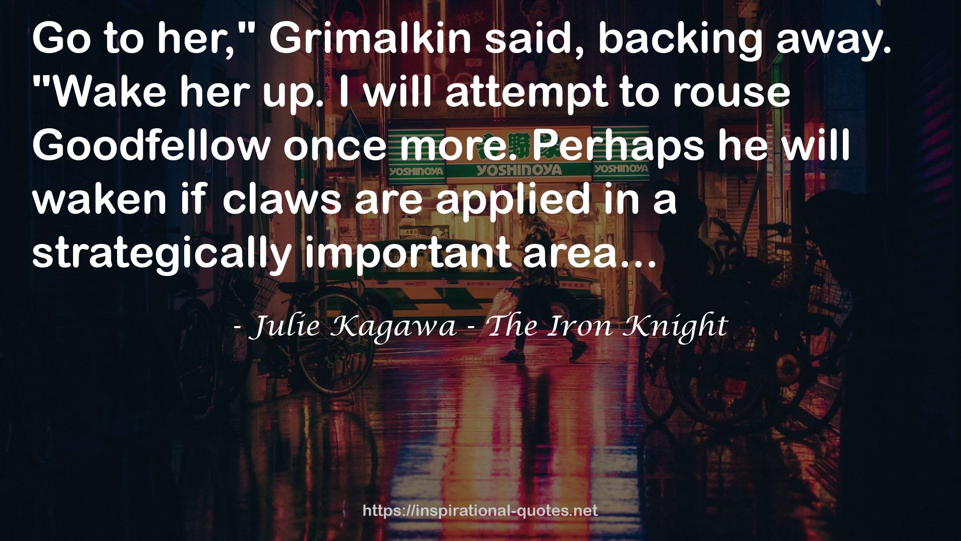Julie Kagawa - The Iron Knight QUOTES