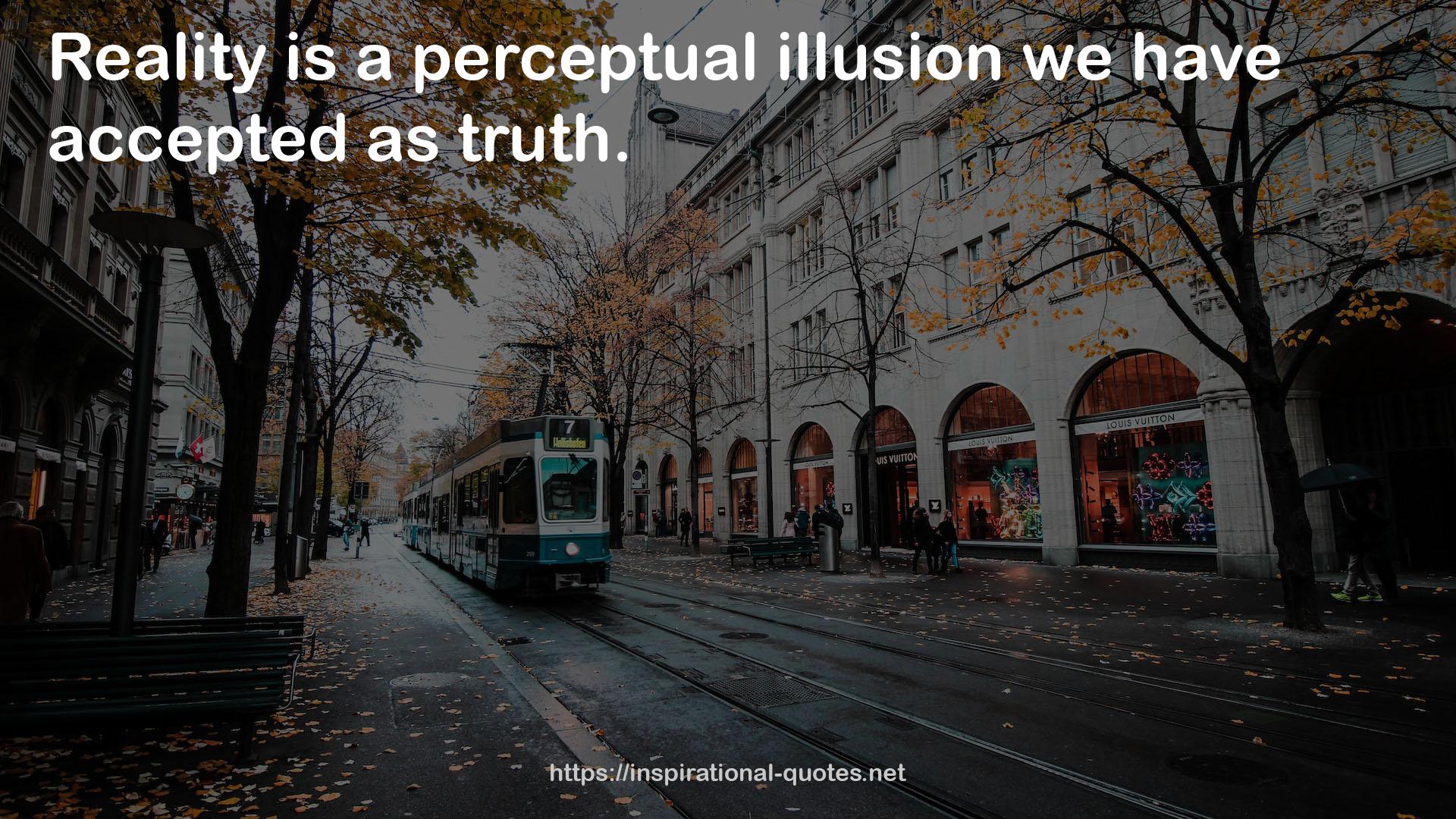 a perceptual illusion  QUOTES