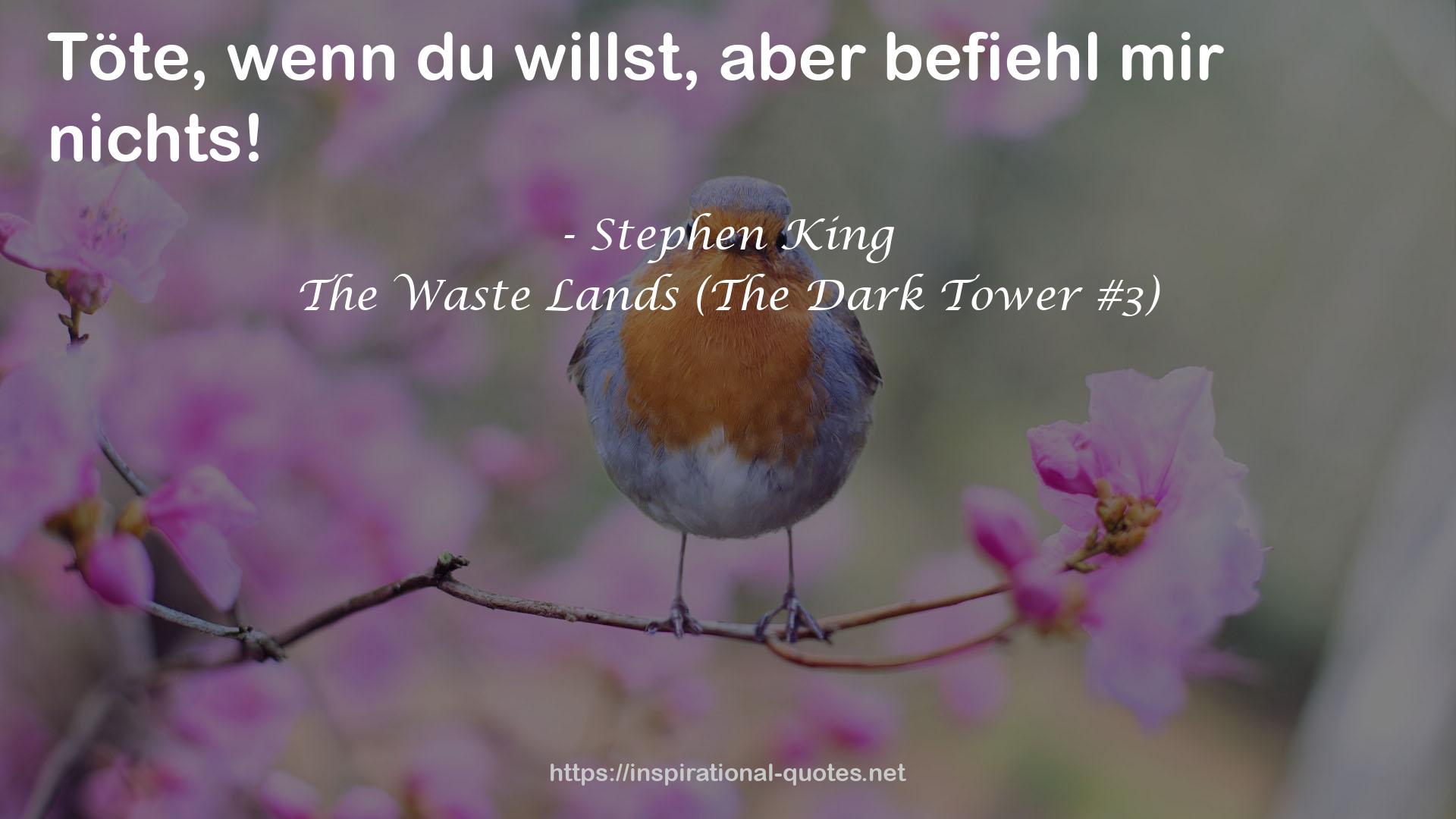 The Waste Lands (The Dark Tower #3) QUOTES