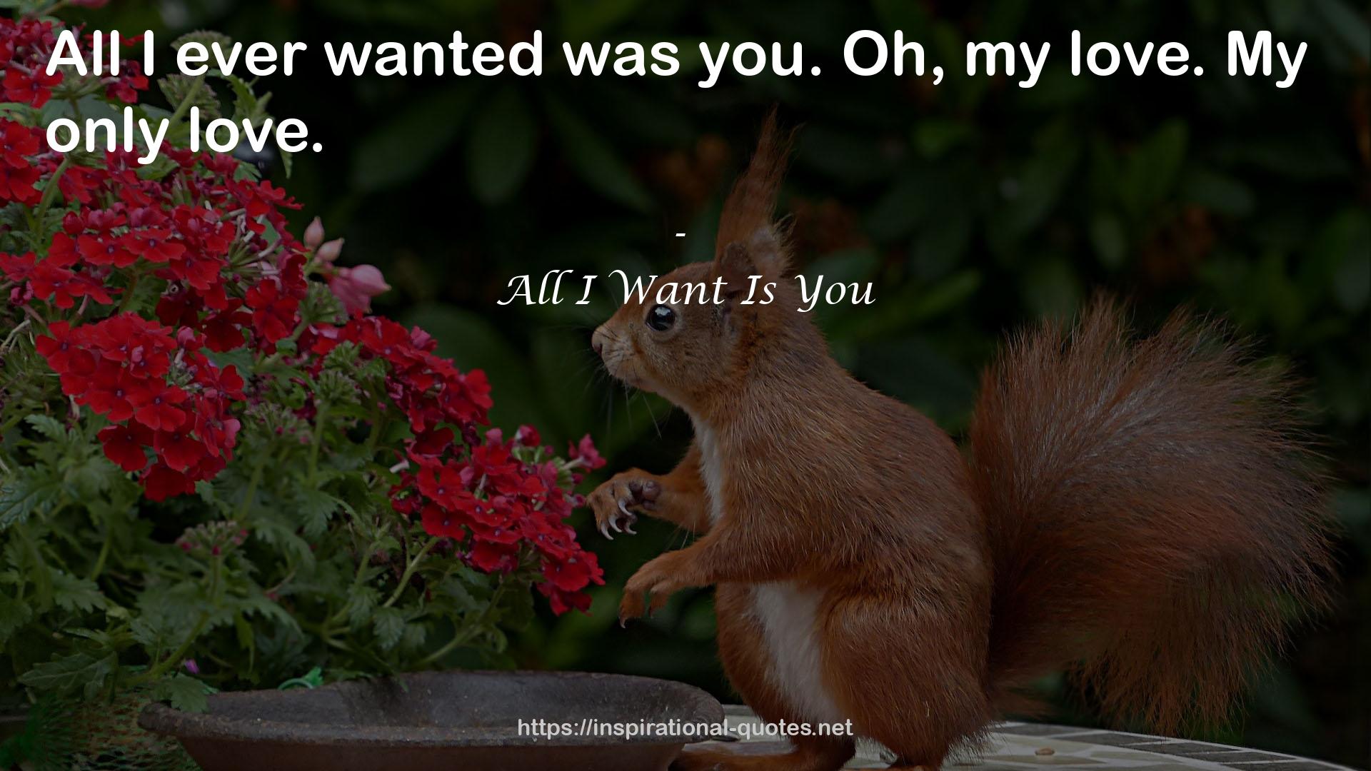 All I Want Is You QUOTES