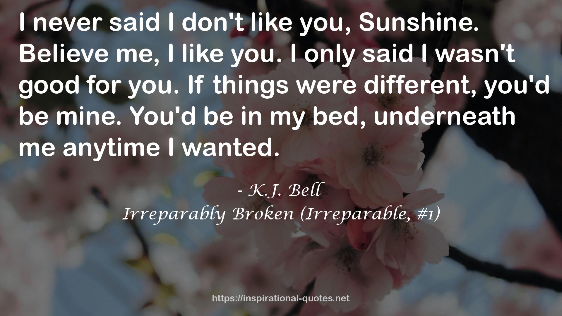 Irreparably Broken (Irreparable, #1) QUOTES