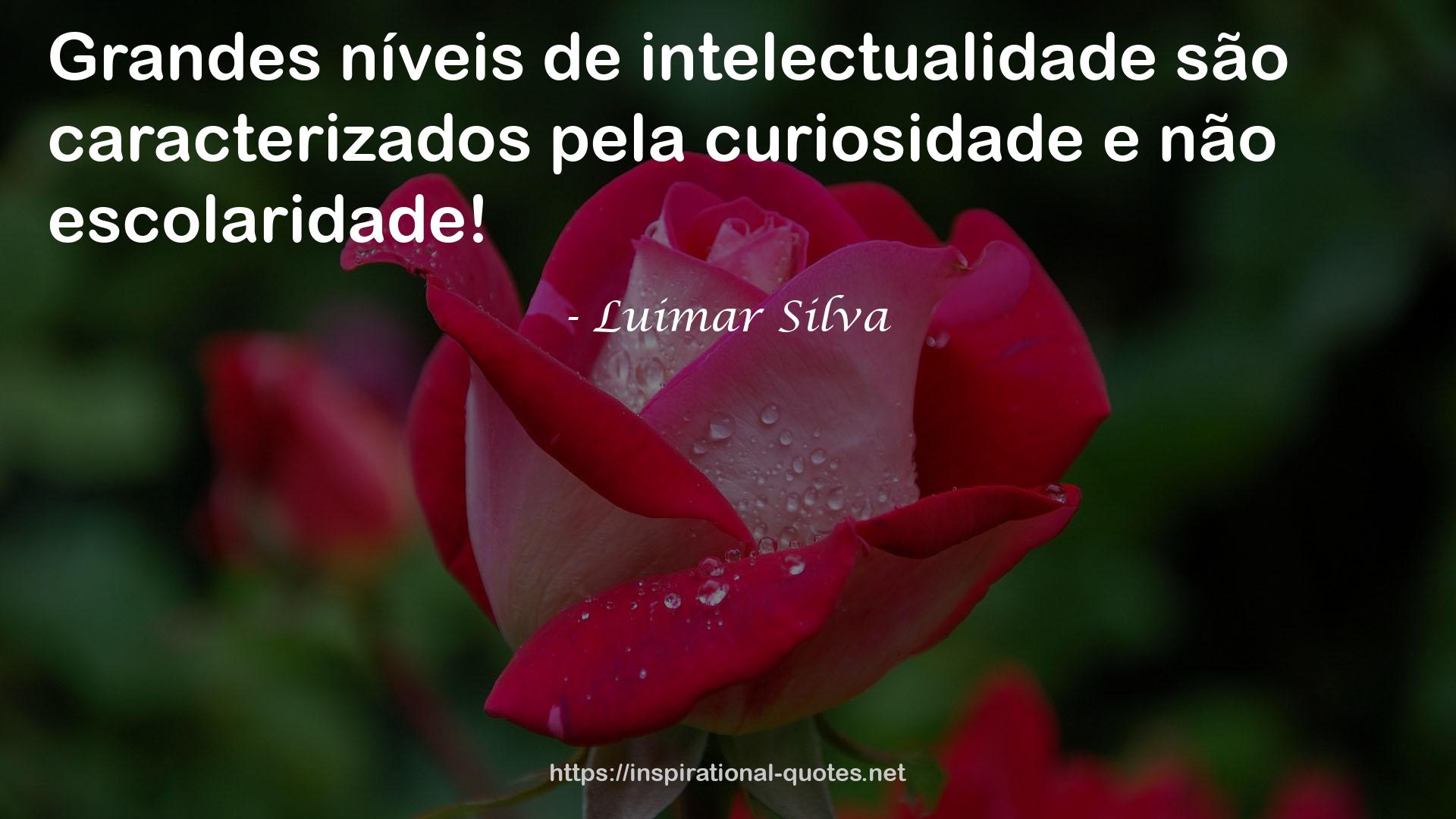 Luimar Silva QUOTES