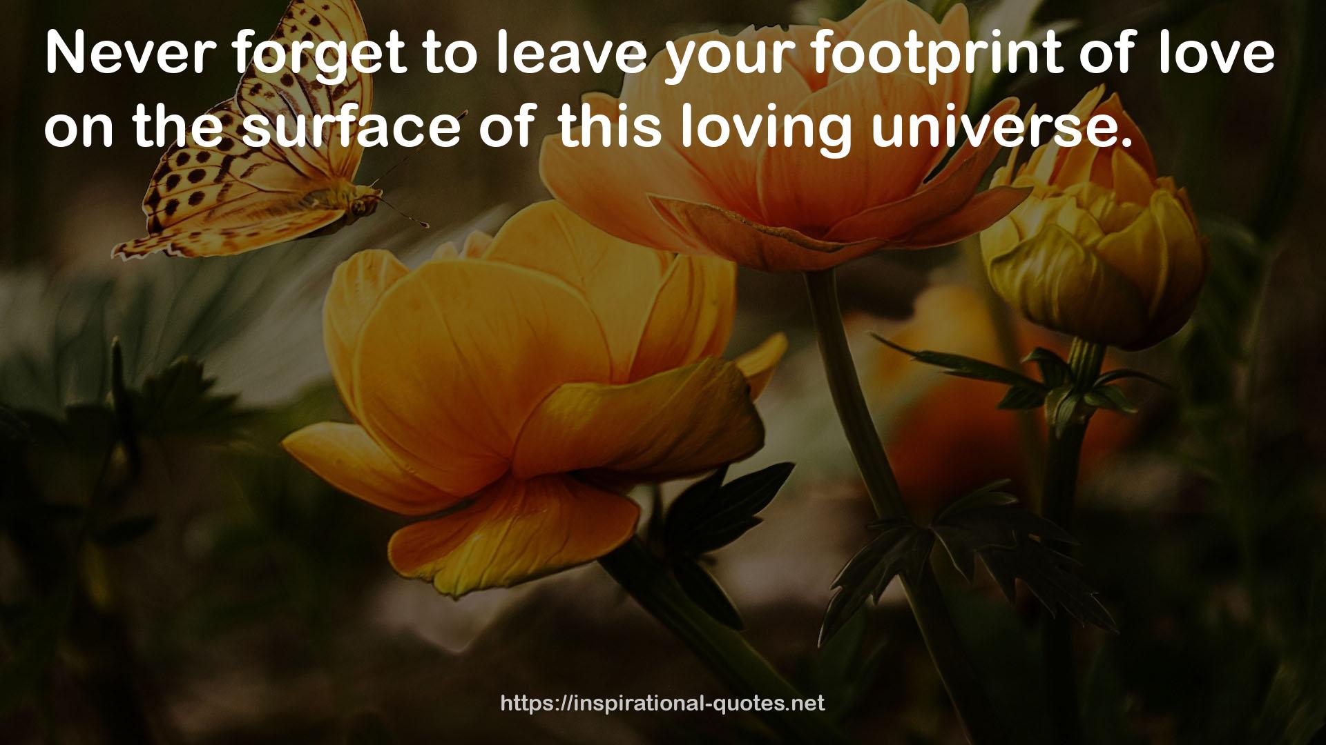 your footprint  QUOTES