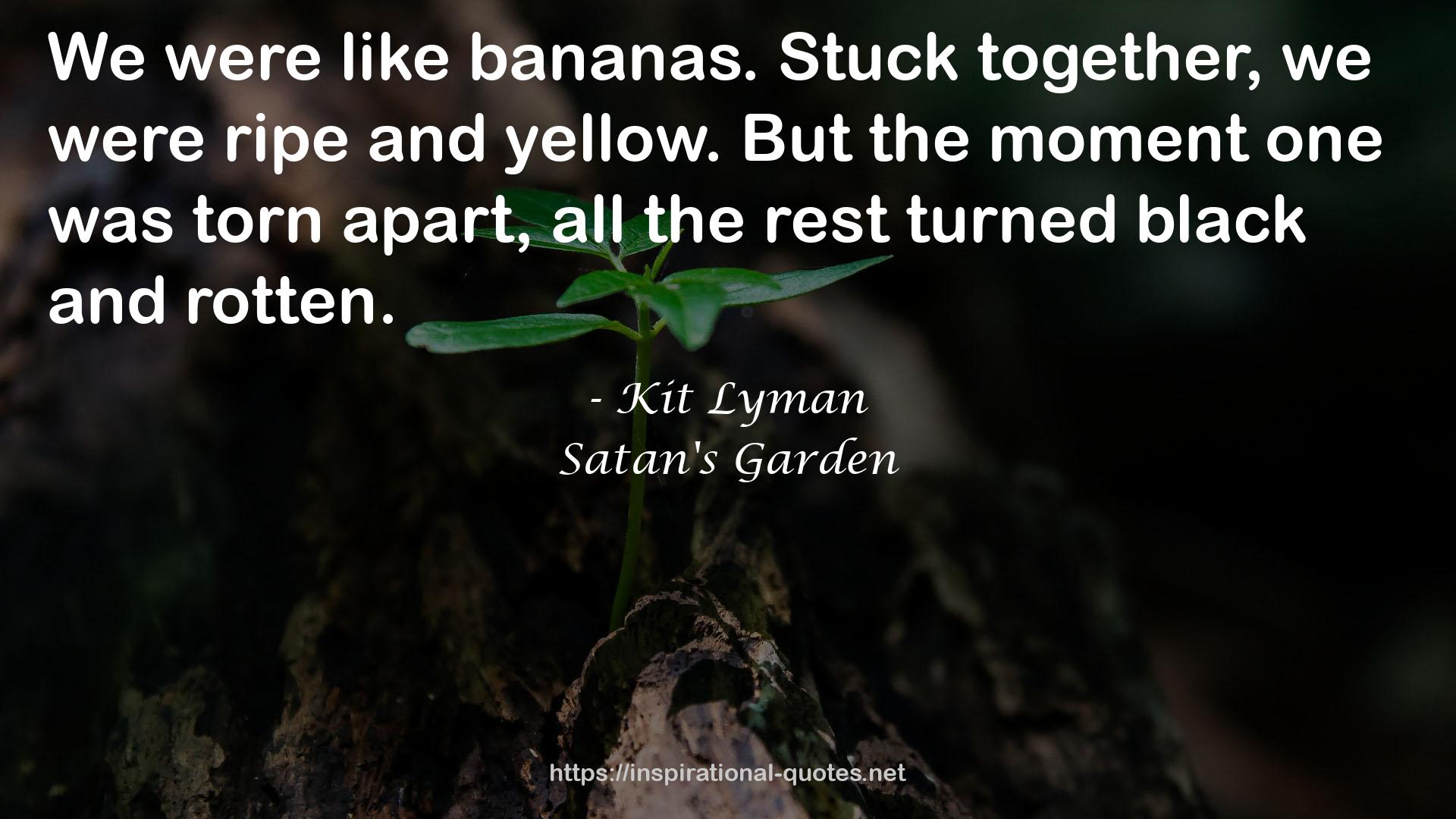 Kit Lyman QUOTES