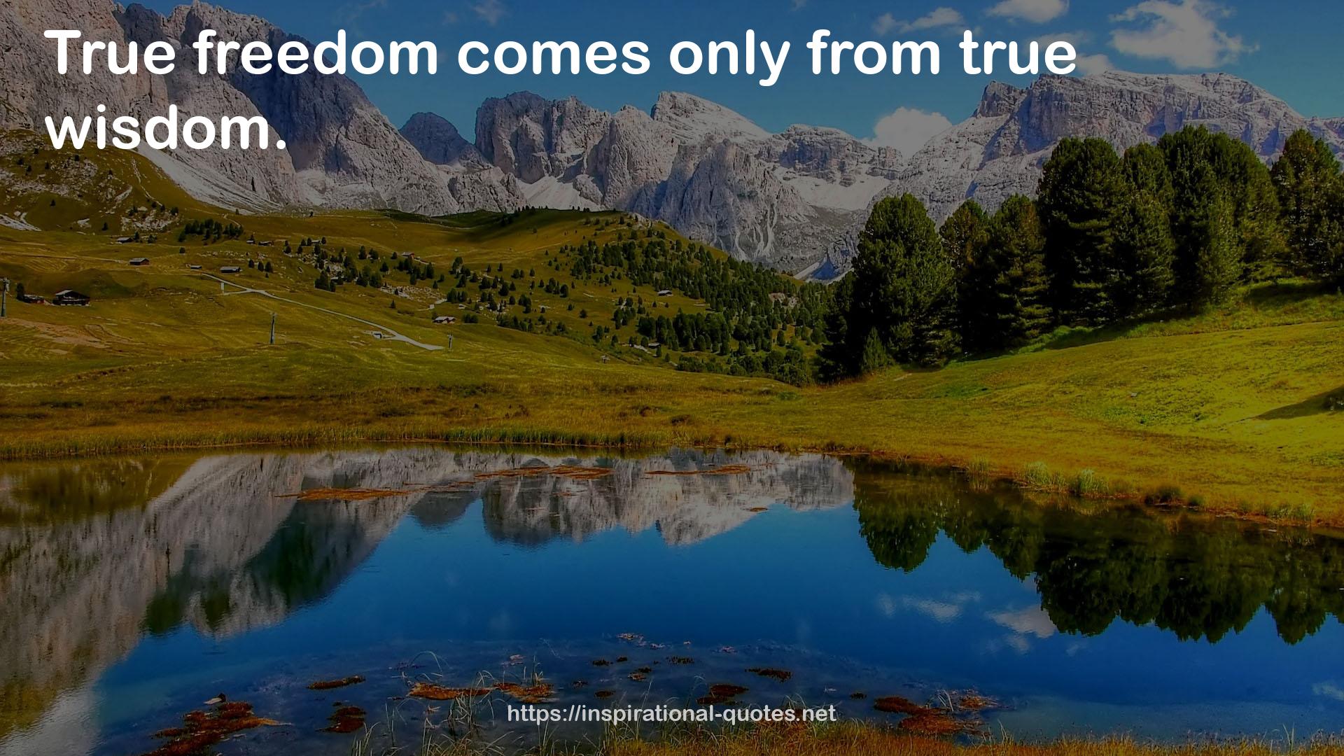 true freedom  QUOTES