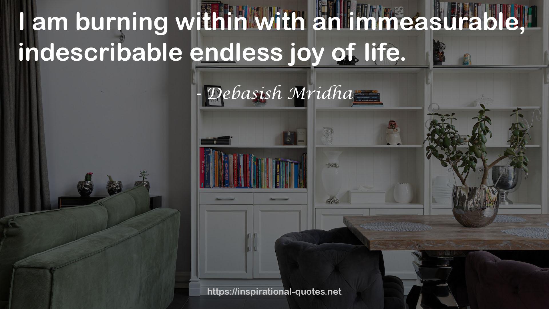 an immeasurable, indescribable endless joy  QUOTES