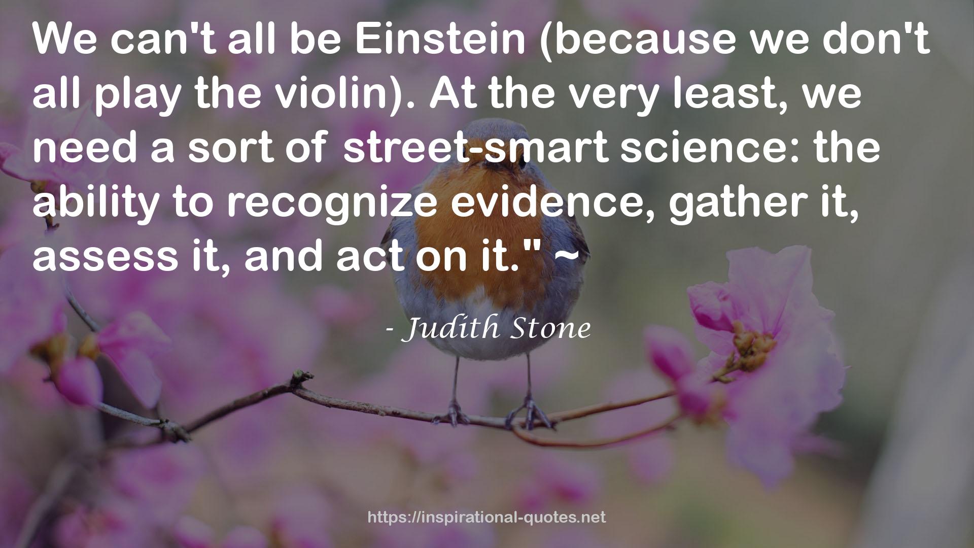 Judith Stone QUOTES