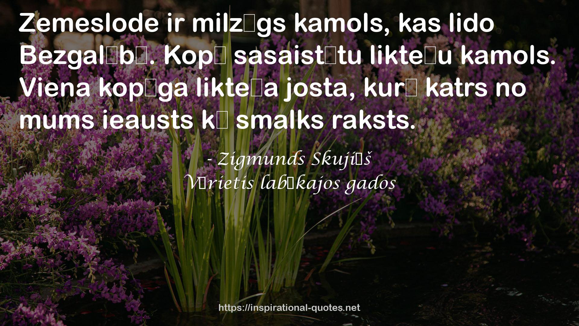 Zigmunds Skujiņš QUOTES