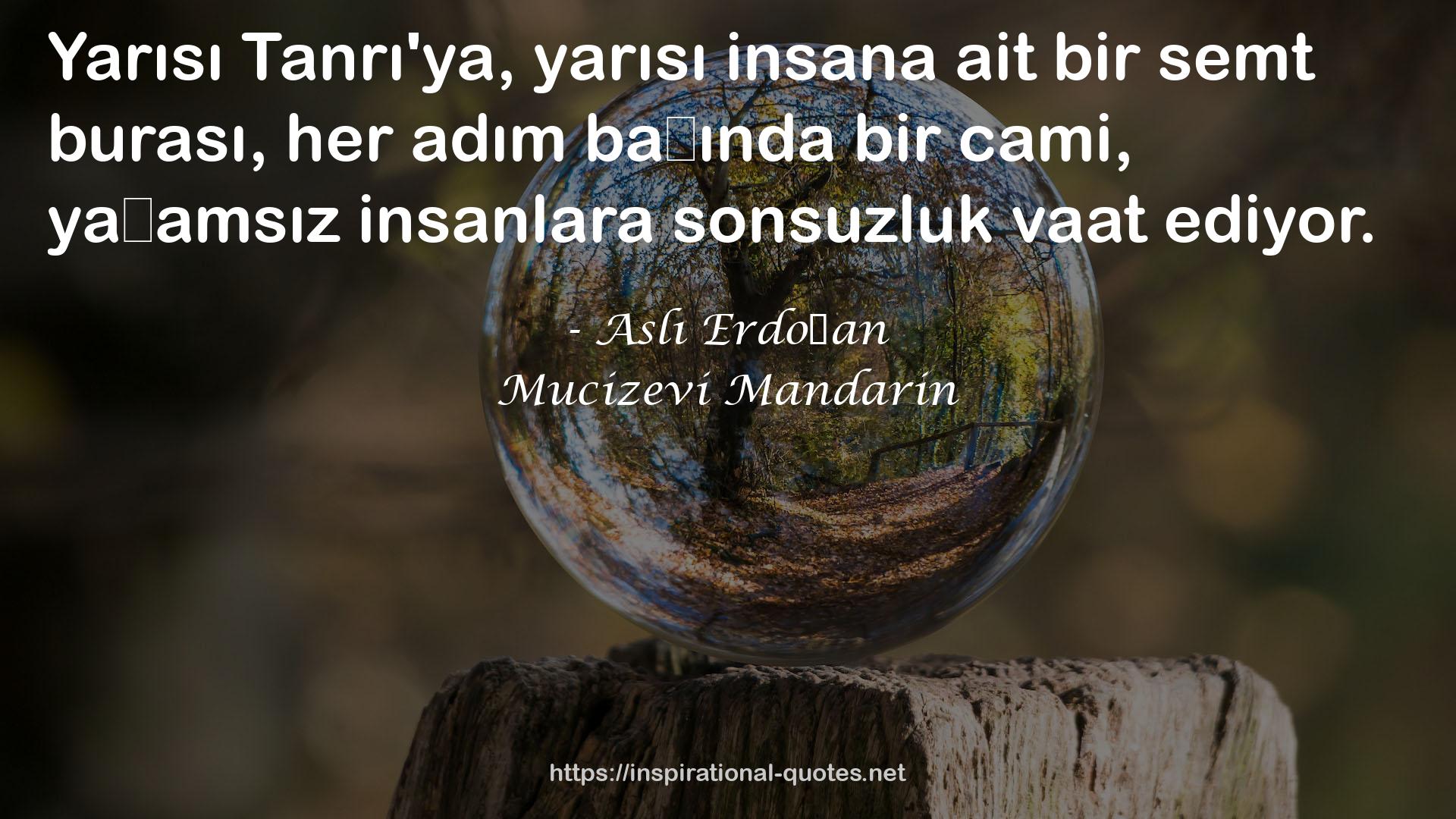 Mucizevi Mandarin QUOTES