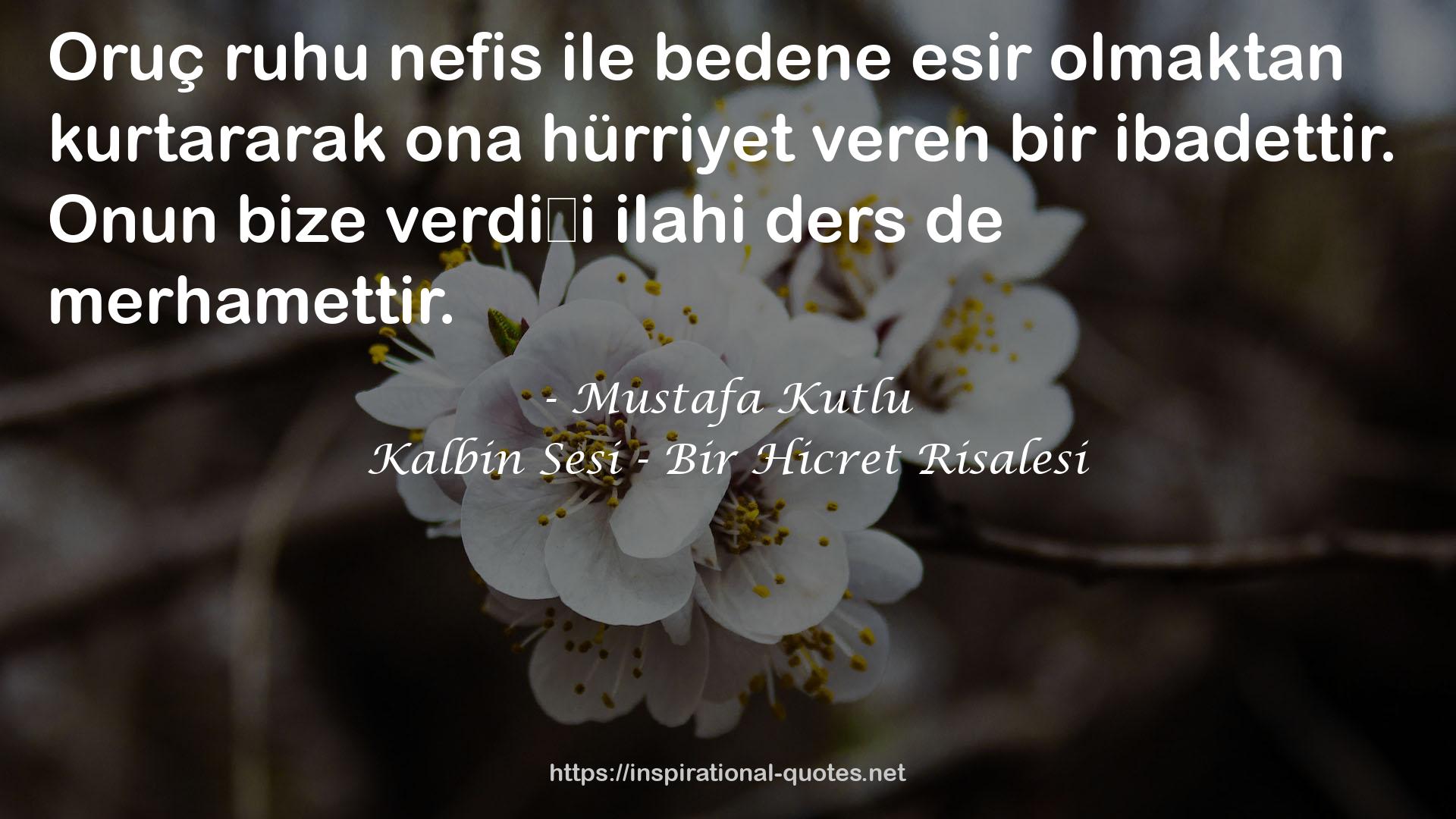 Kalbin Sesi - Bir Hicret Risalesi QUOTES