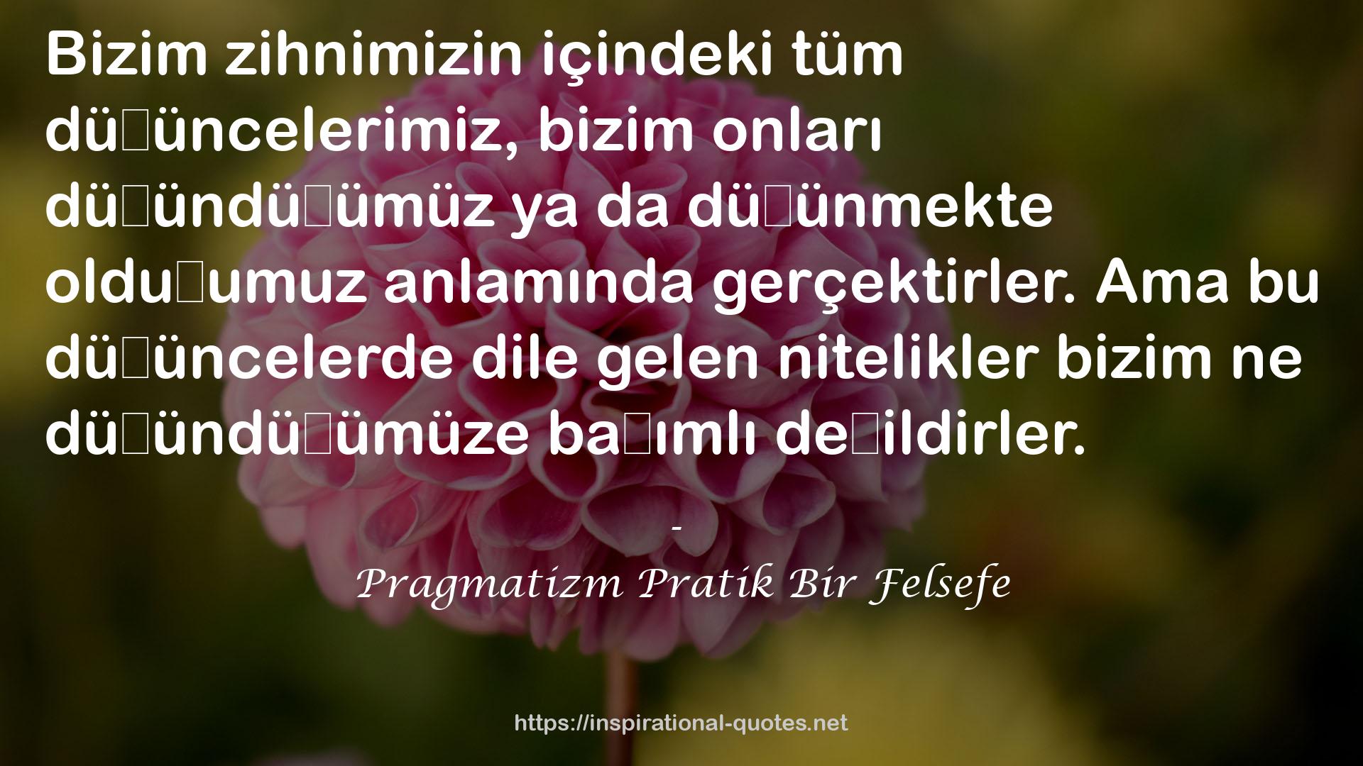 Pragmatizm Pratik Bir Felsefe QUOTES