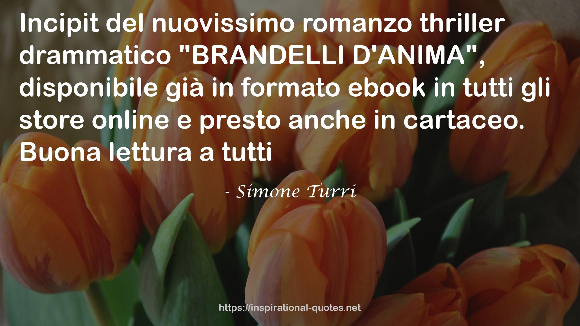 Simone Turri QUOTES