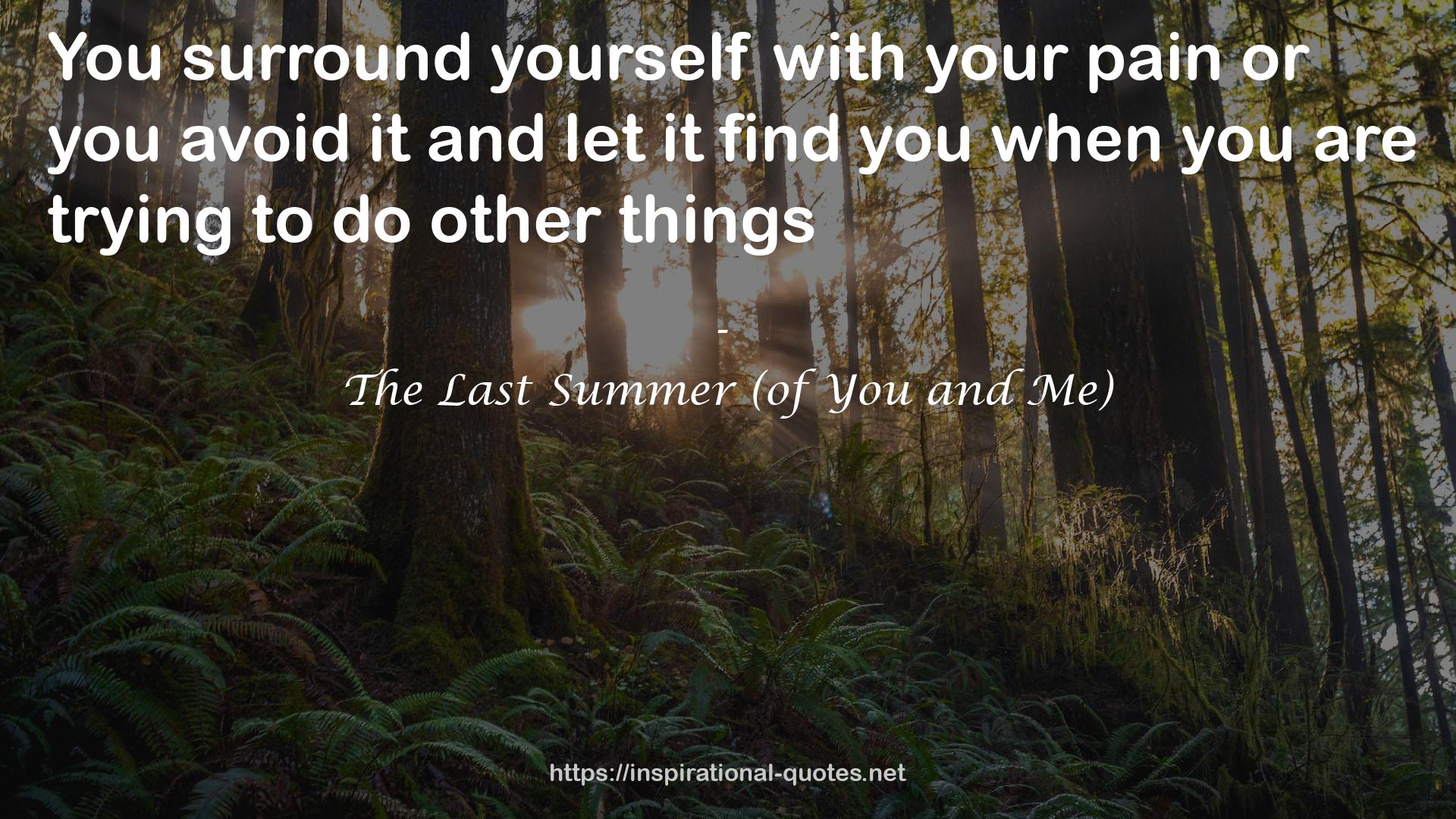 The Last Summer (of You and Me) QUOTES