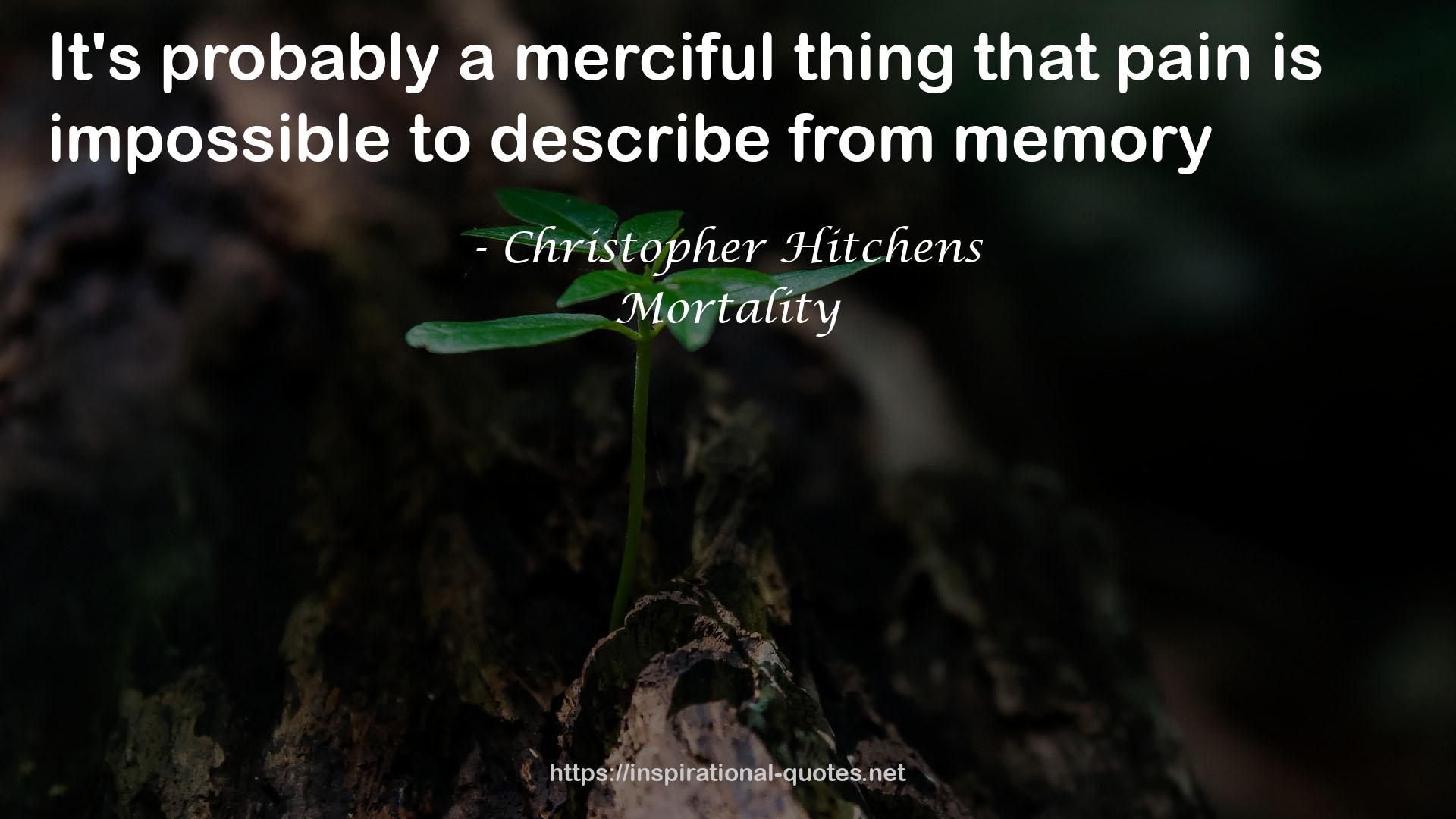 a merciful thing  QUOTES