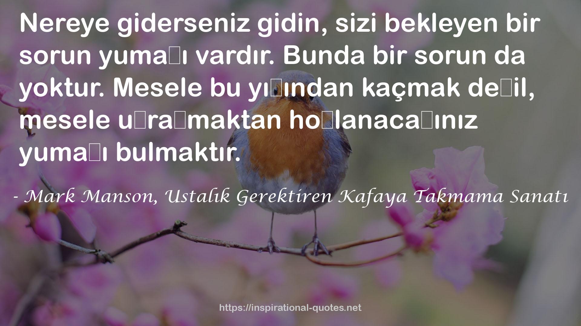 Mark Manson, Ustalık Gerektiren Kafaya Takmama Sanatı QUOTES