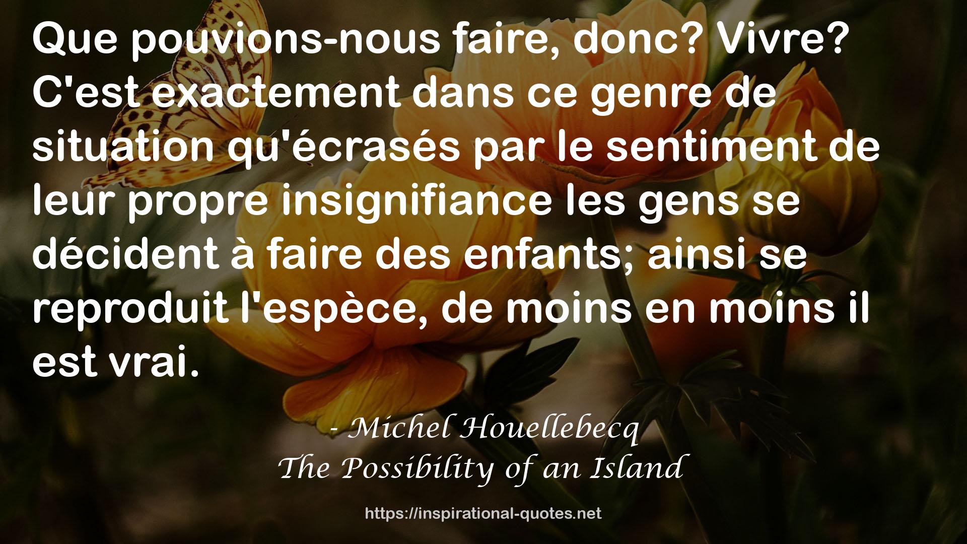 Michel Houellebecq QUOTES