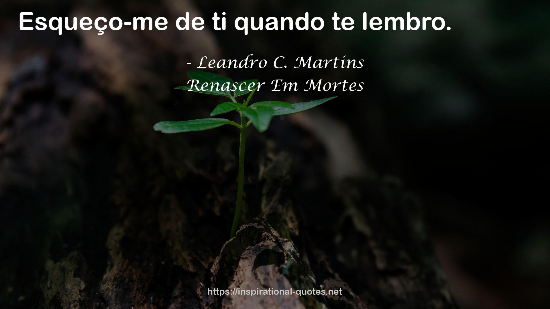Leandro C. Martins QUOTES