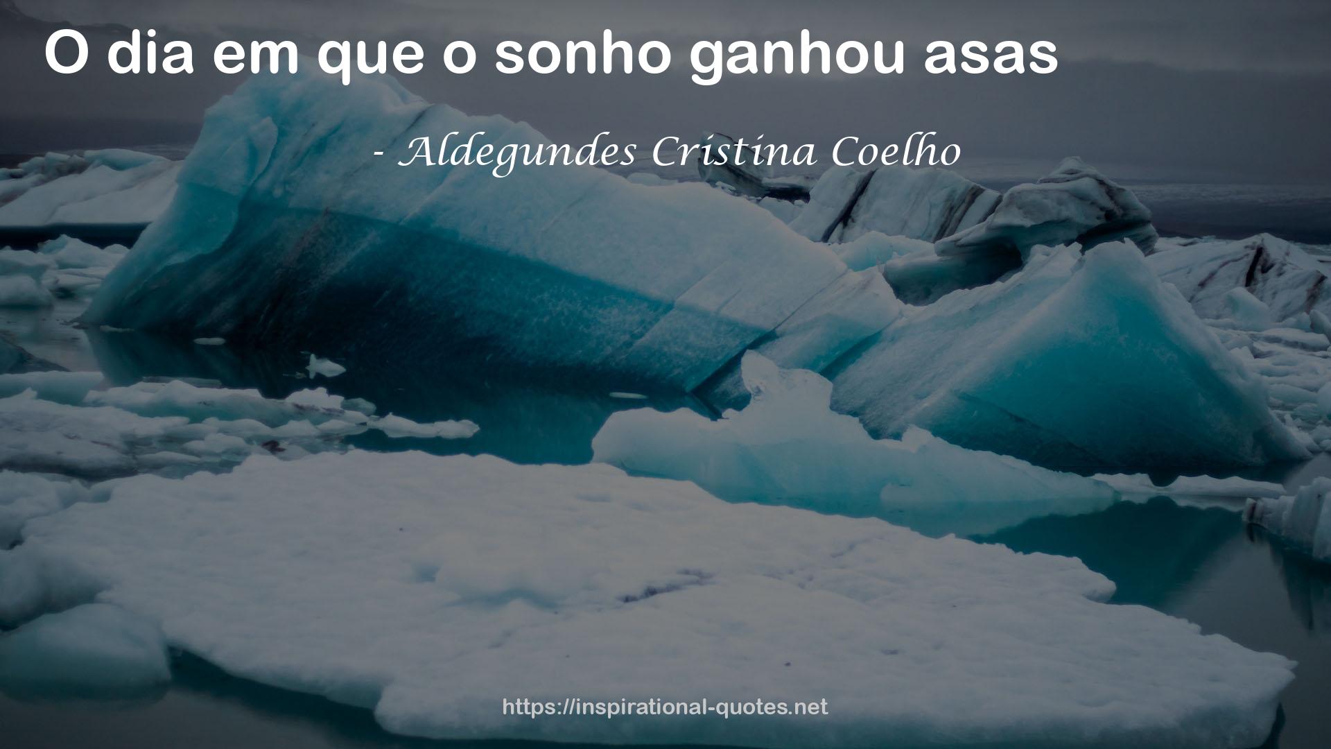 Aldegundes Cristina Coelho QUOTES